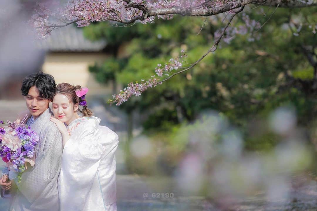 のインスタグラム：「昨年の桜の下での和装データ🌸  ※お仕事です。現在の髪型はボブになりますのでご注意ください  #関西サロモ #サロンモデル」
