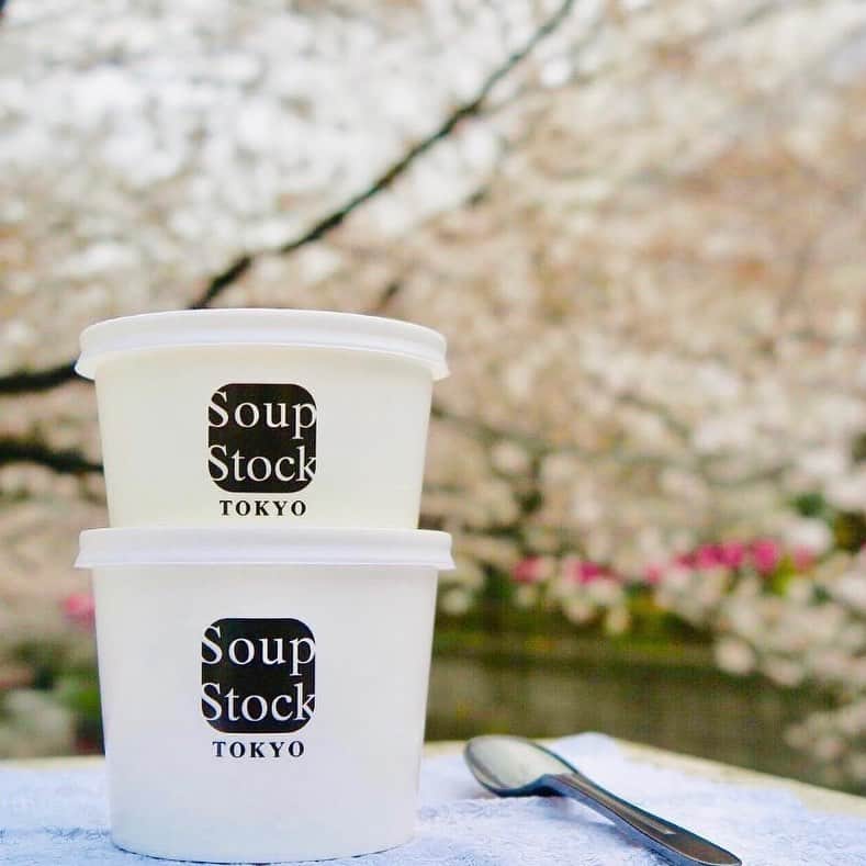 スープストックトーキョー 公式のインスタグラム：「・ お花見に、あたたかなスープを。🌸  東京の桜もいよいよ満開を迎え、お花見日和になりそうですね。 今年は数年ぶりにお花見をする方もたくさんいらっしゃるのではないでしょうか？ 桜の下、にぎやかに和やかに過ごす時間は春だけの楽しみですね。🍱  スープストックトーキョーのスープは #テイクアウト もできるので、よろしければどうぞご一緒に。🥄  桜とスープと、素敵な時間をお過ごしください。  #soupstocktokyo #soupstock #soup #スープストックトーキョー #スープストック #スープ #お花見 #花見 #桜 #お花見日和」