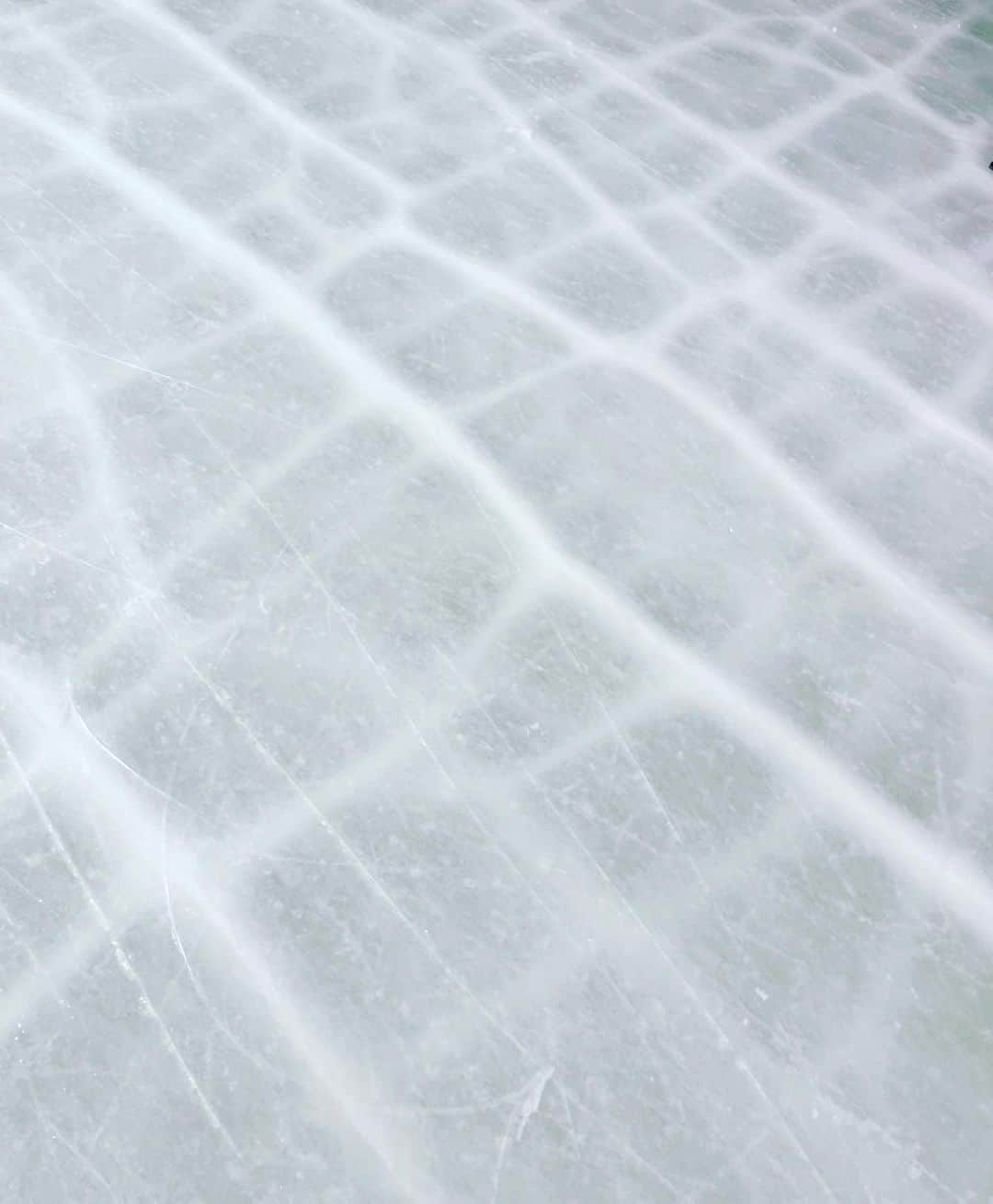 和田安佳莉さんのインスタグラム写真 - (和田安佳莉Instagram)「冬の思い出。  #スケート #スキー #雪 #アップルパイ」3月21日 13時09分 - akariwada_official