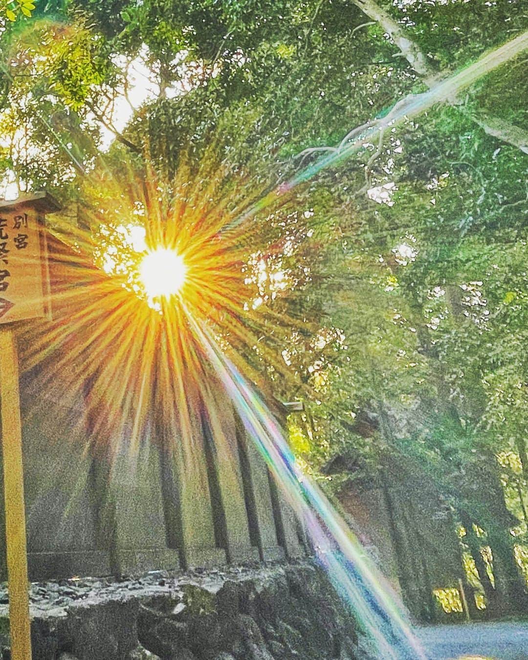 のインスタグラム：「偶然撮りたいステキ写真部　発足 ✨伊勢神宮内宮✨  大好きな猿田彦大神巡り。 伊勢神宮内宮の、とあるスポットに実は猿田彦大神が祀ってあるとのことで。実際には見えないエリアにあるのですが、近くでお祈りした後、この写真が撮れました。 綺麗〜✨✨✨  #伊勢　#神社  #神社巡り #japan #japan_art_photography  #japantravel  #shrine」
