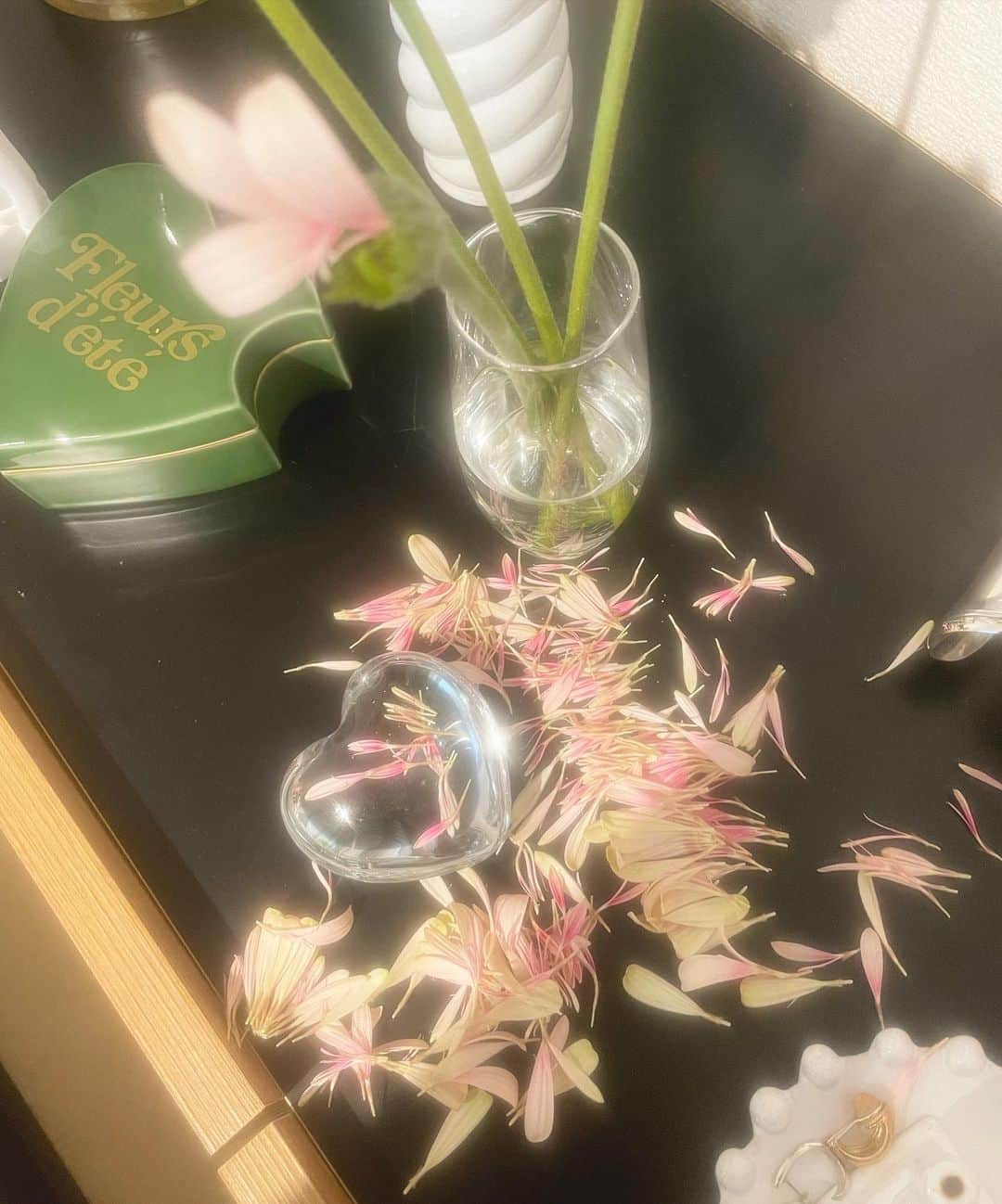 中林美和さんのインスタグラム写真 - (中林美和Instagram)「ガーベラの花びら。 気づいたら落ちちゃってた。 長く咲いてくれてありがとう♡」3月21日 13時57分 - miwanakabayashi