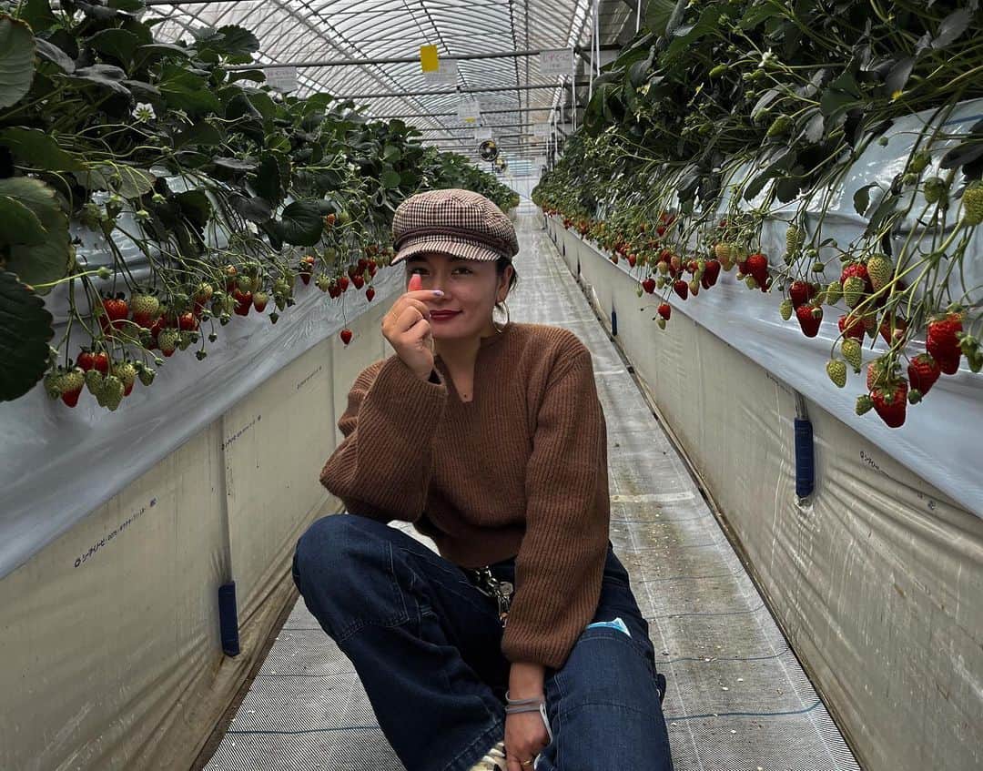 Fabiolla Takinamiさんのインスタグラム写真 - (Fabiolla TakinamiInstagram)「20種類の苺を食べ比べ🍓 しばらく苺はいいわ。って思ったけど、、、 全然食べれる☺️🍓🍓」3月21日 14時06分 - fabi_olla