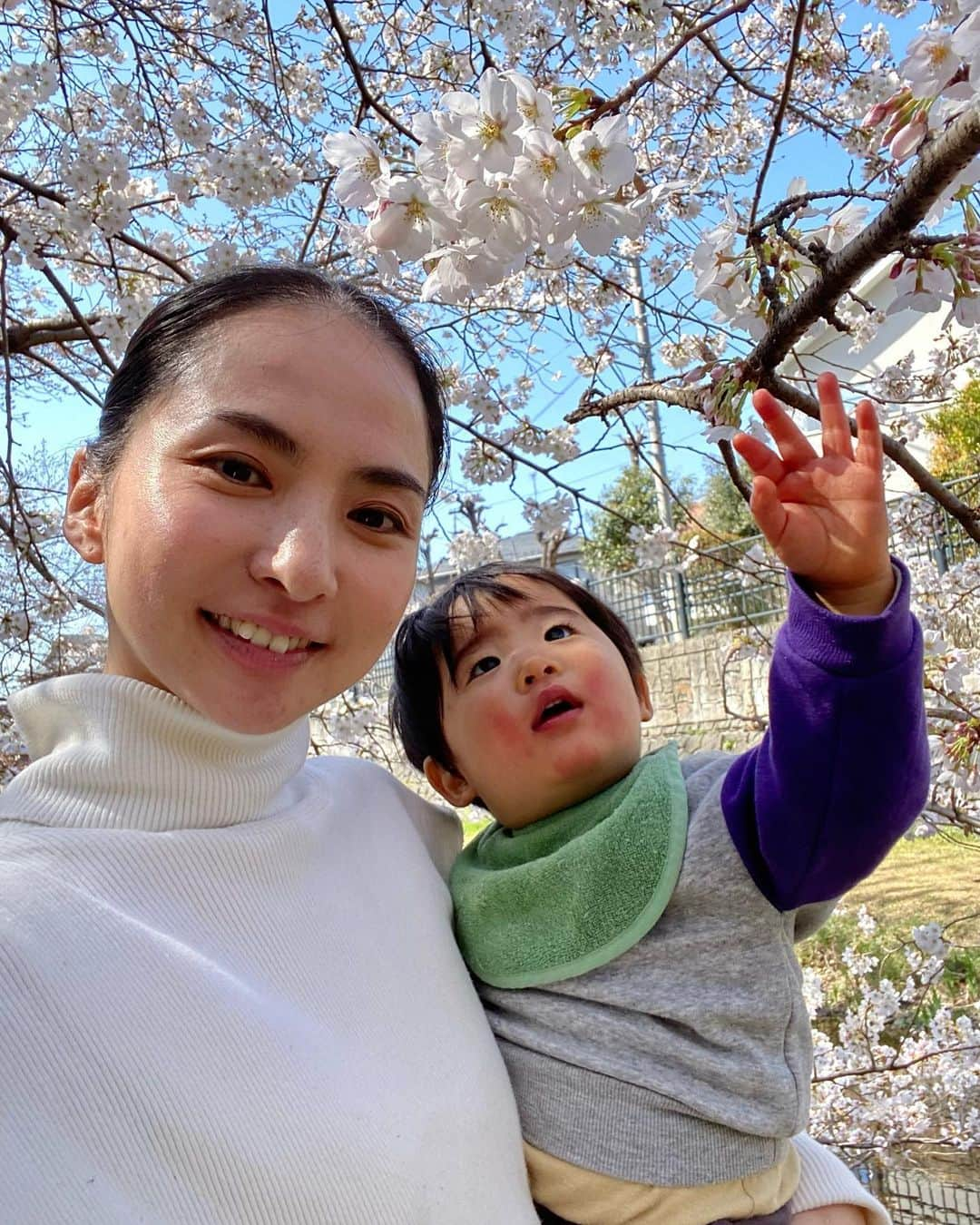 芥川舞子さんのインスタグラム写真 - (芥川舞子Instagram)「ちょっとした空き時間に、サンドイッチを買って軽やかに向かってみたら...ベストタイミングでお花見ができました🌸  近所に流れている川「野川」の桜の枝は川のほとりまで延びているので、こんなにも間近で桜を拝むことができます。  混雑していてお酒を飲む人が多いお花見ばかりしてきた都会育ちの私にとって、このような静けさの中で過ごすお花見は本当に贅沢な時間でした。  1分で組み立てられる超軽量ベビーチェア @stokkejapan  はここでも大活躍でした。  #お花見できた #今年はタイミングばっちり #2023桜 #野川の桜  #ストッケクリック #ストッケのある暮らし」3月21日 14時42分 - maiko.akutagawa