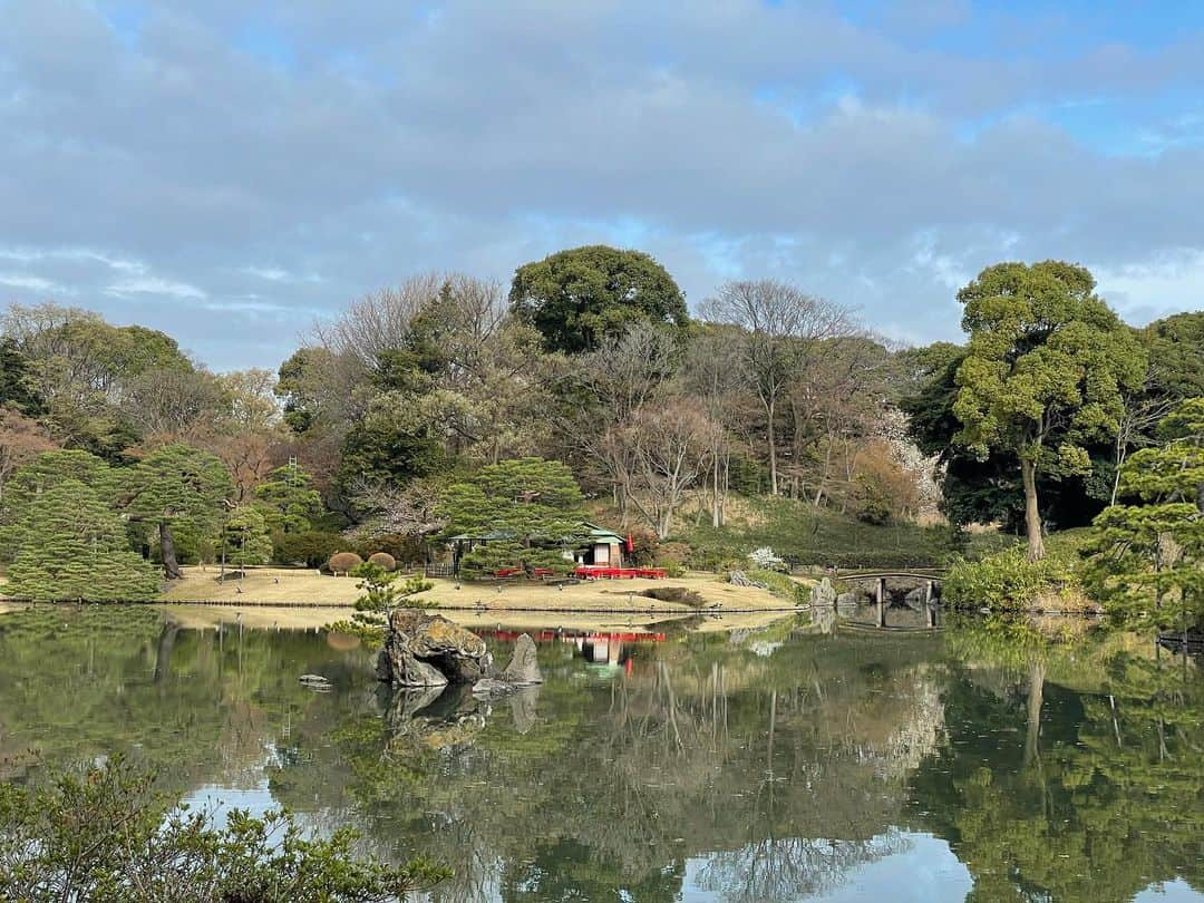 武藤彩芽さんのインスタグラム写真 - (武藤彩芽Instagram)「. . 江戸時代から続く日本庭園、 六義園へお邪魔してきました🌸  有名なこちらの枝垂れ桜の 美しさ、迫力は、 ぜひ生で見ていただきたい！  天気にも恵まれ、 とても楽しいひとときを 過ごすことができました✨」3月21日 14時43分 - mutoayame