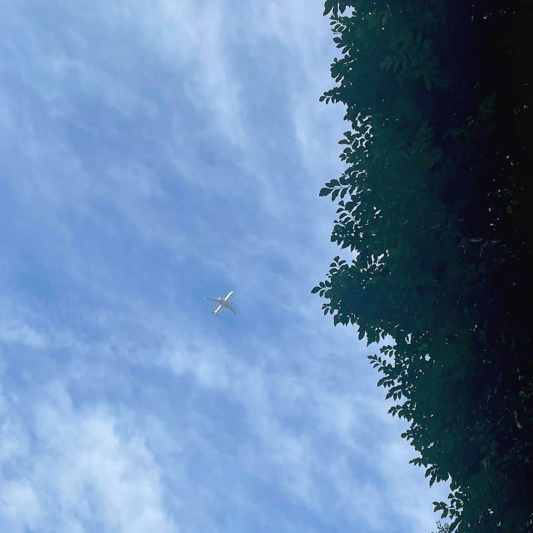 のインスタグラム：「〰︎ ✈︎」