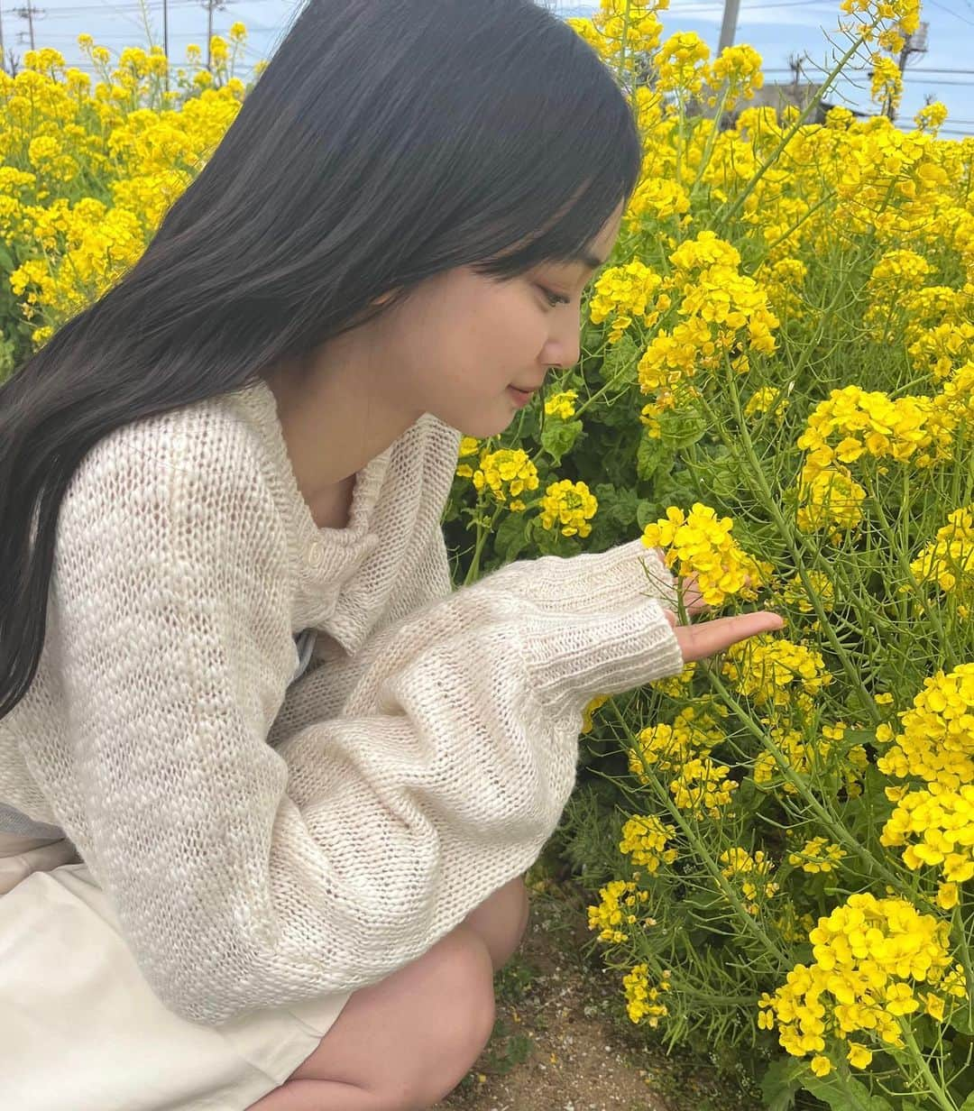 小寺結花さんのインスタグラム写真 - (小寺結花Instagram)「・ 菜の花畑に行ってきました🌼*ﾟ  花粉症なので鼻がずっとムズムズしてた…🥹   #菜の花畑 #春 #spring」3月21日 15時08分 - yuikakodera_box