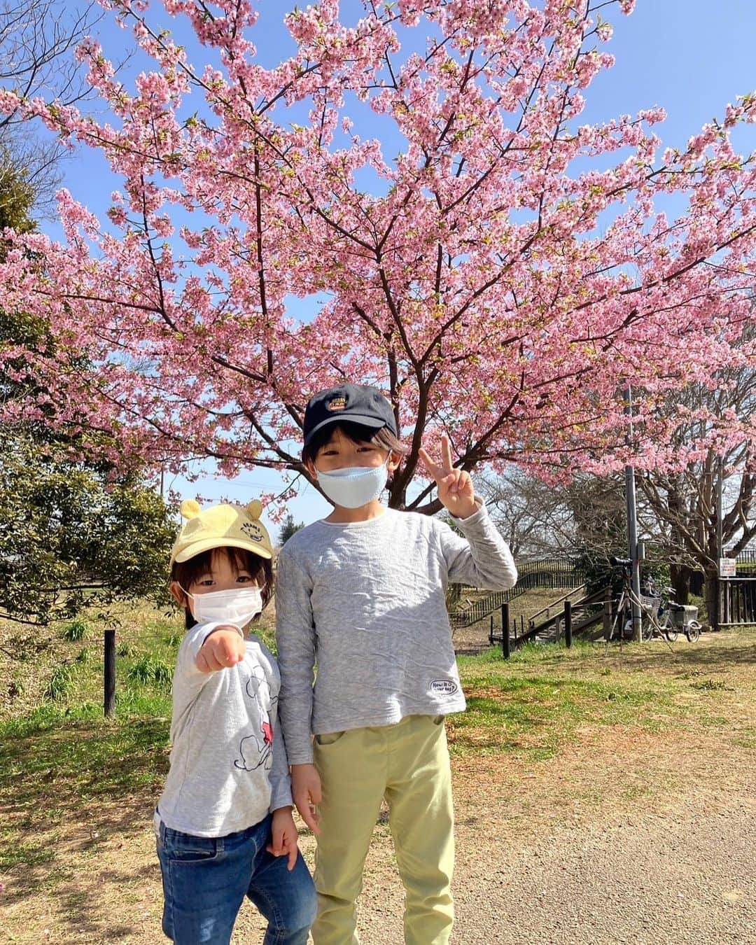 佐藤遙灯さんのインスタグラム写真 - (佐藤遙灯Instagram)「・ はるたすの休日😘 ・ 河津桜と菜の花を見に行きました( ¨̮⋆)🌸 ・ たすくは帽子で桜をとろうと思ったけど、 まだまだ花びらは落ちる時期じゃなかったみたいで 全然落ちて来ず🤗 ・ #はるたす #兄弟揃ってミツバチに怯える #帰りにアイスをパクリ🍨 #佐藤家 #佐藤遙灯 #スペースクラフト #スペースクラフトジュニア」3月21日 15時24分 - sato_haruto__official