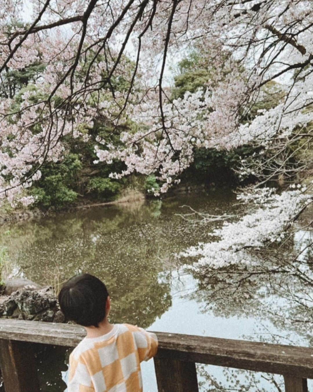 山脇道子のインスタグラム：「朝から全力で野球を楽しんで⚾️ 午後は桜を見に行って 最高の祝日㊗️🌸👦🏻」