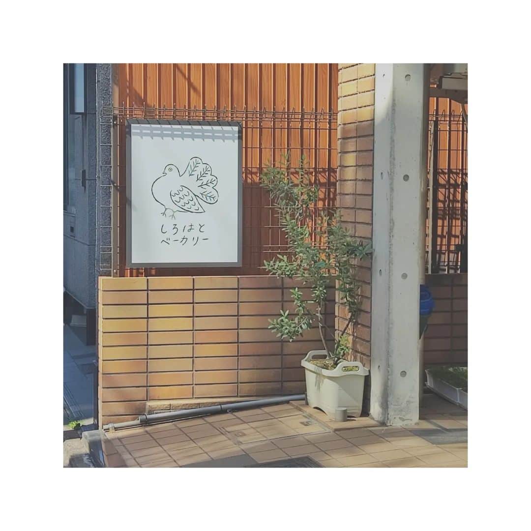 小泉里紗さんのインスタグラム写真 - (小泉里紗Instagram)「京都に行った時の写真載せてなかったので📷⁡ 他にも行きたいパン屋さんあるのでまたいつか行きます🚃⁡ ⁡⁡⁡⁡ ⁡ ⁡ #schoolbuscoffeestop ⁡ #しろはとベーカリー ⁡ ⁡ #boulangeriemorimori ⁡ ⁡ #京都パン屋 ⁡ ⁡ #京都巡り」3月21日 16時19分 - risa_kizm