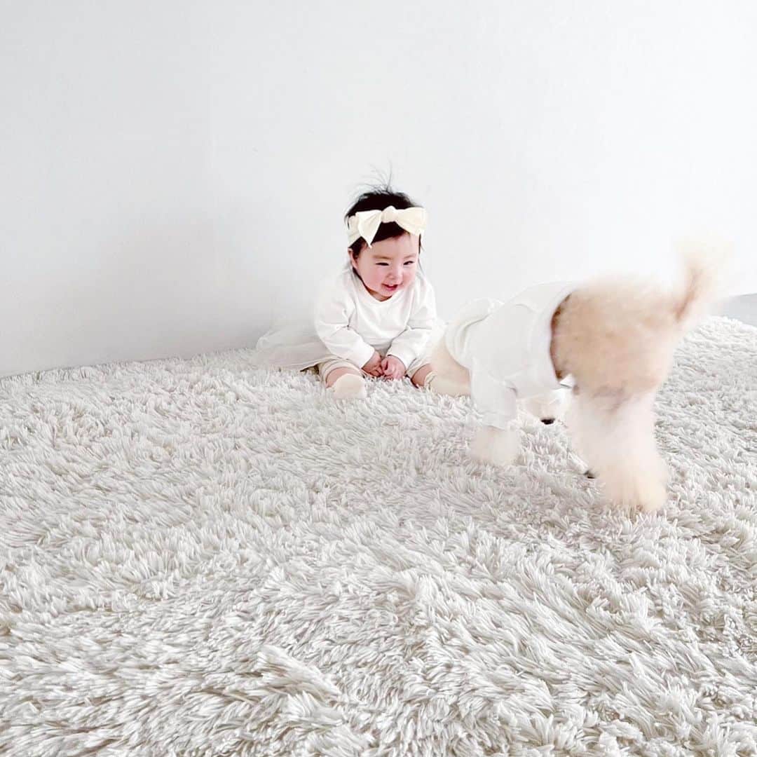 土岐田麗子さんのインスタグラム写真 - (土岐田麗子Instagram)「🍓👶🏻🍎  りんちゃんのお誕生日に♡ 10歳だったので スタジオに撮りに行きました🫶🏻  #かわいいなぁ #familyphotos  #babystagram  #dogstagram  #instadiary」3月21日 16時39分 - reli0531