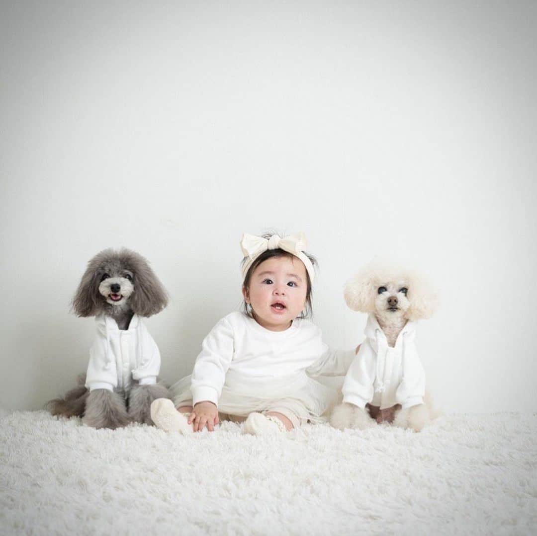 土岐田麗子のインスタグラム：「🍓👶🏻🍎  りんちゃんのお誕生日に♡ 10歳だったので スタジオに撮りに行きました🫶🏻  #かわいいなぁ #familyphotos  #babystagram  #dogstagram  #instadiary」