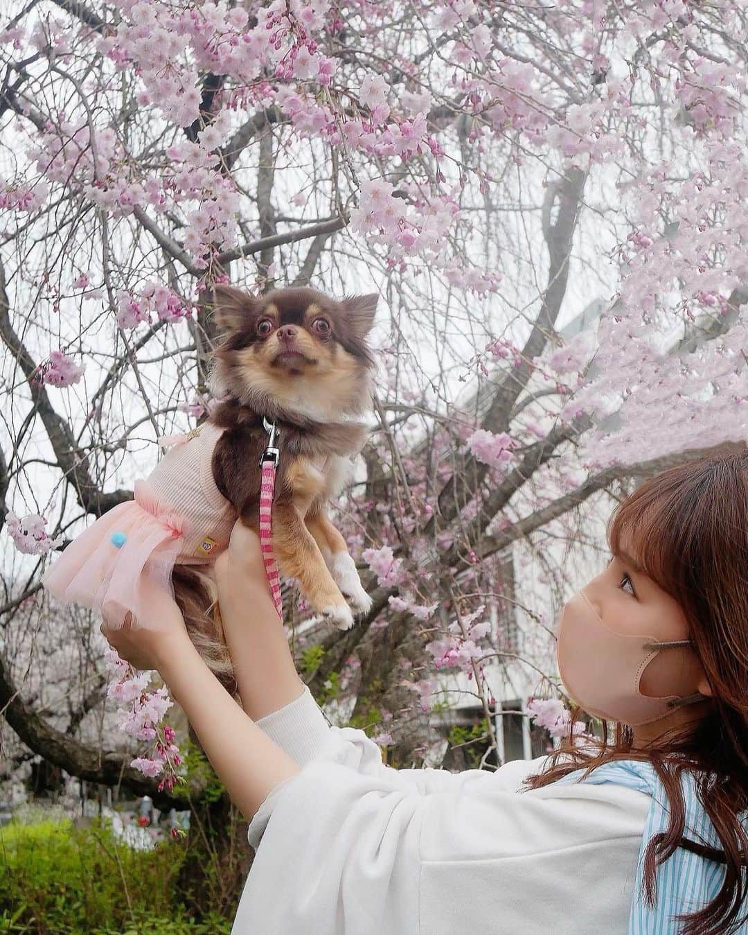 花清まゆこのインスタグラム