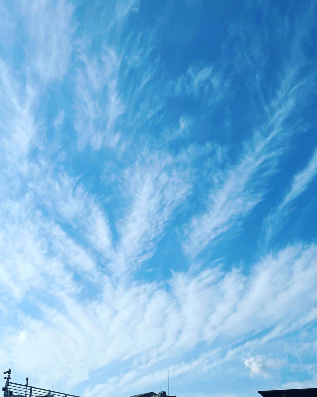 堀内敬子さんのインスタグラム写真 - (堀内敬子Instagram)「撮影の準備にてスタジオ。  外へ出たら、リーフパイみたいな雲で おやつタイムかなーと呟きました。  WBC盛り上がってますねー！  #撮影の準備 #桜もそろそろ🌸 #WBC見逃せない #スタジオで集中 #昨日のことです今日はどんよりね」3月21日 16時54分 - horiuchi_keiko