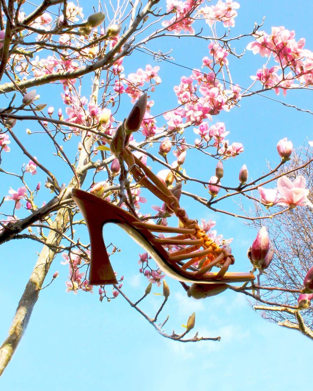 ジャンカルロパオリさんのインスタグラム写真 - (ジャンカルロパオリInstagram)「Blossom Chic  Spring Summer 23 Collection   Discover more on our website.  #GiancarloPaoli #SpringSummer23 #Collection #Woman #Shoes」3月22日 3時06分 - giancarlopaoli