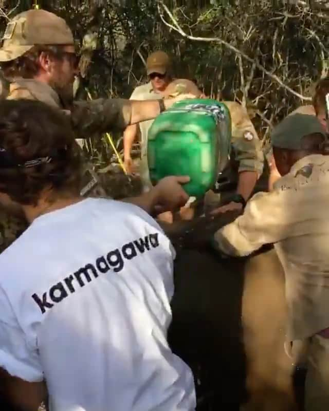 ティモシー・サイクスのインスタグラム：「Throwback to one of the craziest trades I’ve ever done, during a @karmagawa x @vetpaw x @rhinorescueproject rhino rescue operation that was totally unplanned, but I’m ALWAYS ready to trade when need be. The rhino operation was supposed to be in the morning, long before the US stock market opened, but it was too hot out so it got delayed and I had an overnight position so as the charity teams were busy rescuing this rhino, I locked in a few hundred dollars in profits on my trade thanks to using the hotspot of one of the rhino rescuers. Definitely not an ideal trading location as the wifi was barely there, and I would’ve rather focused on helping the rhino, but when you live a busy/crazy life like I do, you do the best you can — and it’s my willingness to trade from ANYWHERE during my travels that finances #animalrescue operations like this as I’m proud to donate 100% of my trading profits to charity, which has made #daytrading and the #stockmarket so much more fulfilling for me. Remember, you do NOT need to work from a cubicle or office & stay in your town/city like most people think, go out and explore our incredible world & thank me after you see how amazing trading can be when you open your mind to ALL the possibilities! #ilovemyjob #daytrader #pennystocks #laptoplifestyle #proudteacher」