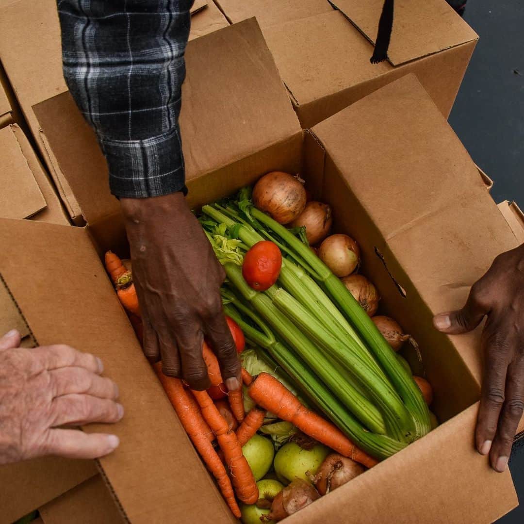 ティファニー・ティーセンのインスタグラム：「🧡 Farmers add color and flavor to our lives every day with nutritious food. @FeedingAmerica food banks and local community farmers are counting on Congress to pass a fully-funded Farm Bill this year so they can keep helping those facing hunger and challenging circumstances! #AgDay23 #ThankYouFarmers, #FarmersFeedAmerica」