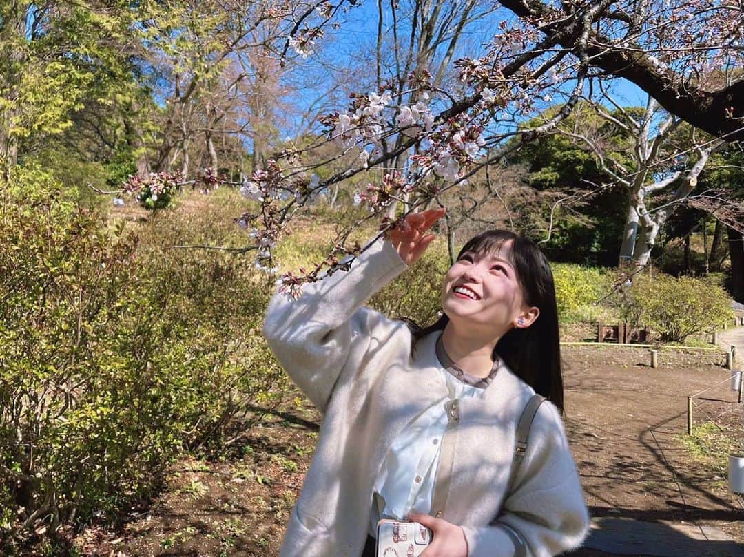 のインスタグラム：「ソメイヨシノはまだこれからだけど、しだれ桜は見頃！🌸  #メーテレアナウンサー #南雲穂波 #なぐもぐもぐ」