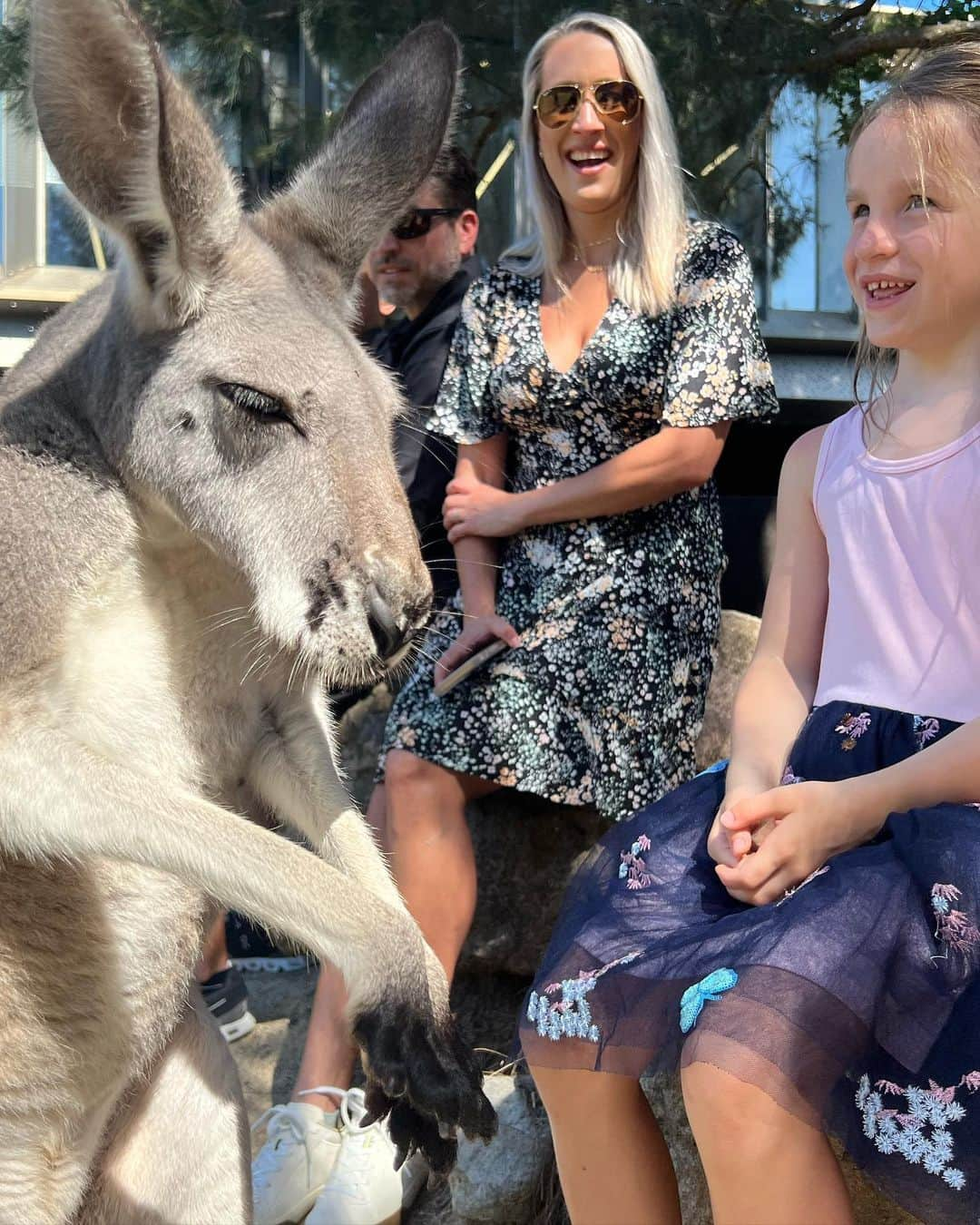 グレン・パウエルさんのインスタグラム写真 - (グレン・パウエルInstagram)「Wild & Wonderful Day @tarongazoo」3月21日 19時36分 - glenpowell