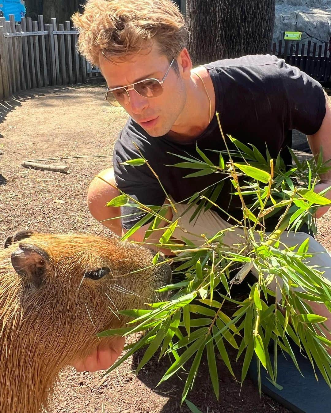 グレン・パウエルさんのインスタグラム写真 - (グレン・パウエルInstagram)「Wild & Wonderful Day @tarongazoo」3月21日 19時36分 - glenpowell