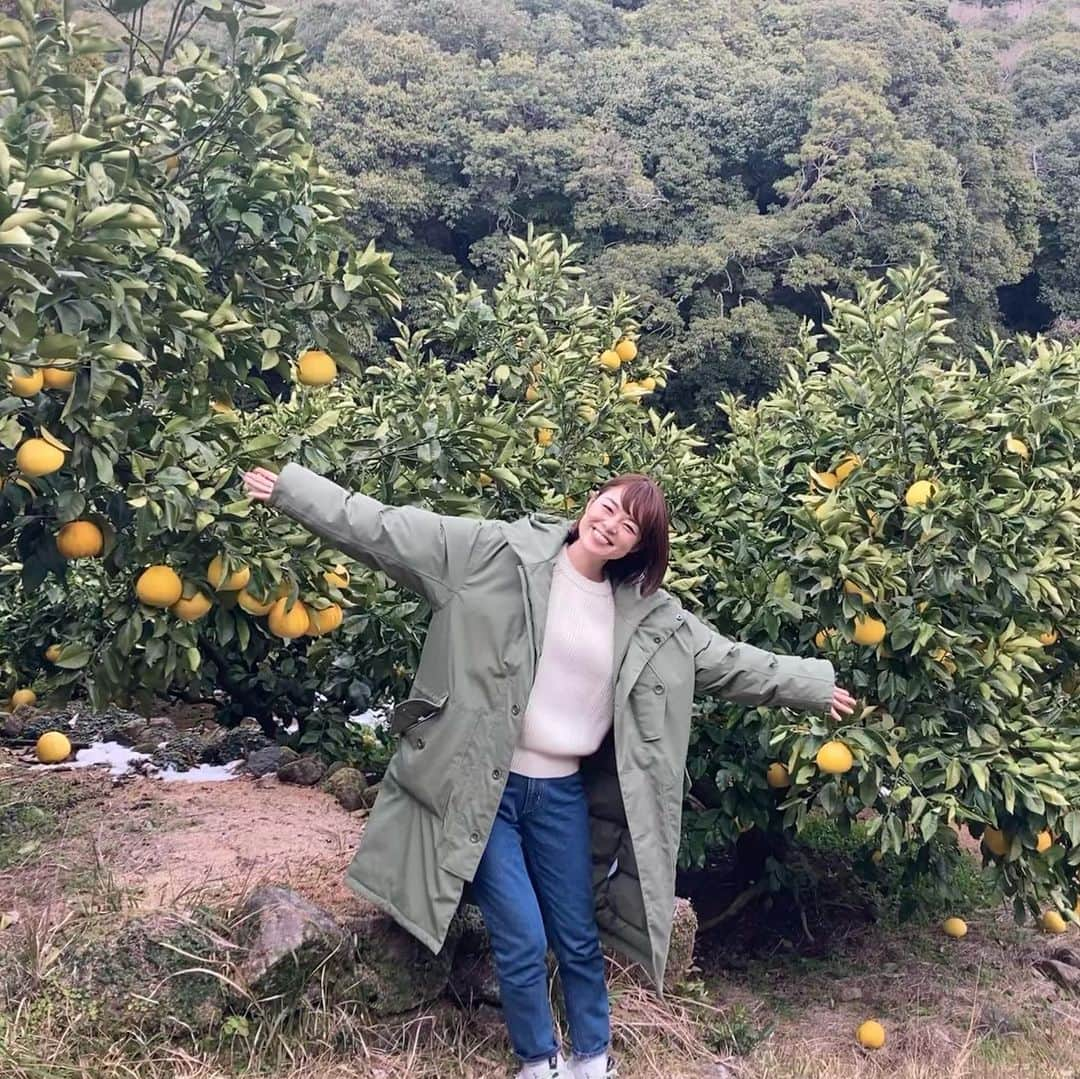 川瀬良子さんのインスタグラム写真 - (川瀬良子Instagram)「【旅色LIKES】連載公開🌷  こんにちは！ 農業旅・アンバサダーの川瀬良子です。 今回は、鹿児島県内一のサワーポメロの産地、 いちき串木野市へ農業旅に行ってきました😊  みなさん「サワーポメロ」って知っていますか？  取材させていただいた「西果樹園」  @west_24farm に着くと…  緑色の葉っぱがたくさんついている木に、 鮮やかな黄色でぽてっとま～るい大きなポメロが！ なんというかわいらしさ😍 緑色の世界に、黄色いドット模様を付けたような ファンタジーな世界が広がっていました！🌈  さらに「まぐろラーメン」にも出会えました！  魅力いっぱいの、いちき串木野市✨  ぜひぜひ！読んで頂けるとうれしいです😊 感想もお待ちしています♪  ［旅色LIKES 川瀬良子］と検索してみて下さいね！ https://tabiiro.jp/likes/articles/view/1535/  ✈️✈️✈️  #旅色 #旅色LIKES #旅色アンバサダー  #農業旅 #旅 #鹿児島県 #いちき串木野市 #サワーポメロ #まぐろラーメン  衣装 #AIGLE @aigle @aiglejapan」3月21日 19時39分 - kawase_ryoko