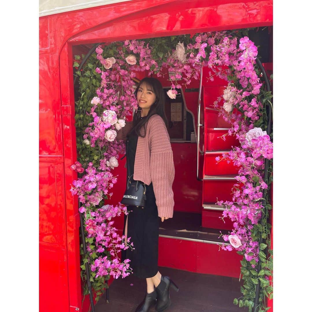 川崎琴之のインスタグラム：「写真とは全然関係ないけど朝からWBCが凄すぎた…  明日も朝から観ます🇯🇵」