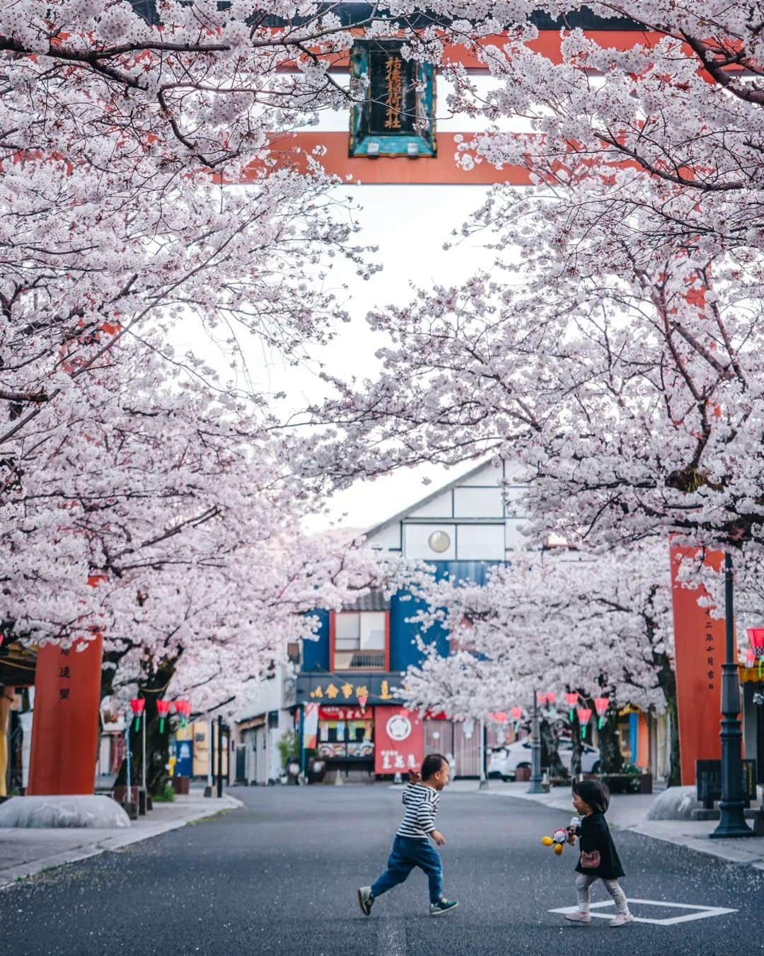 deepskyさんのインスタグラム写真 - (deepskyInstagram)「Team Japan 🇯🇵 . . Four seasons of Japan are quite beautiful. Sakura is blooming soon！Also, I'm really hoping the WBC finals is gonna be great game ！I'm japanese but I've lived in the states for a while. I go for both haha  . 日本の四季は素晴らしいです。桜も開花間近みたいですね！明日のWBCの決勝でも日本チームが花開くことを願っております。アメリカは自分も住んでましたので、いいゲームを望んでます！ . . #japan #travel #mtfuji #beautifuldestinations #Photography #日本 #四季 #富士山」3月21日 20時10分 - _deepsky