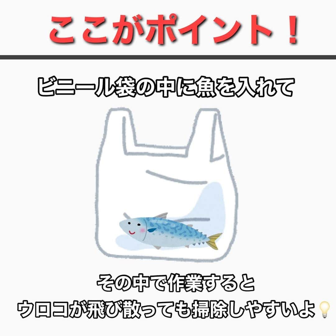 ペルビー貴子さんのインスタグラム写真 - (ペルビー貴子Instagram)「@fishing__info  他の釣り情報もチェック👆  皆さんは魚捌くのは得意ですか？🐟 鱗をしっかりとることで魚の食感を損なわずに美味しく食べることができますよ🤗  ウロコ取り持ってなーい！ っていう方も全然大丈夫👌 家にあるものでなんとかなるんです😁　 是非チェックしてみてくださいね✅  ---------------------------------------- 釣り情報配信　@fishing__info  釣り、アウトドア、魚料理に関する豆知識、お得情報、便利な釣具を中心に投稿しています🎣 ----------------------------------------  #釣り #フィッシング　#fishing　#釣り好きな人と繋がりたい  #釣り好き　#釣り人 #アングラー #魚釣り　#豆知識　#料理豆知識 #キャンプ豆知識　#捌き方　#魚料理　#鱗取り　#美味しく食べよう #ペルビー釣り情報配信」3月21日 20時20分 - fishing__info