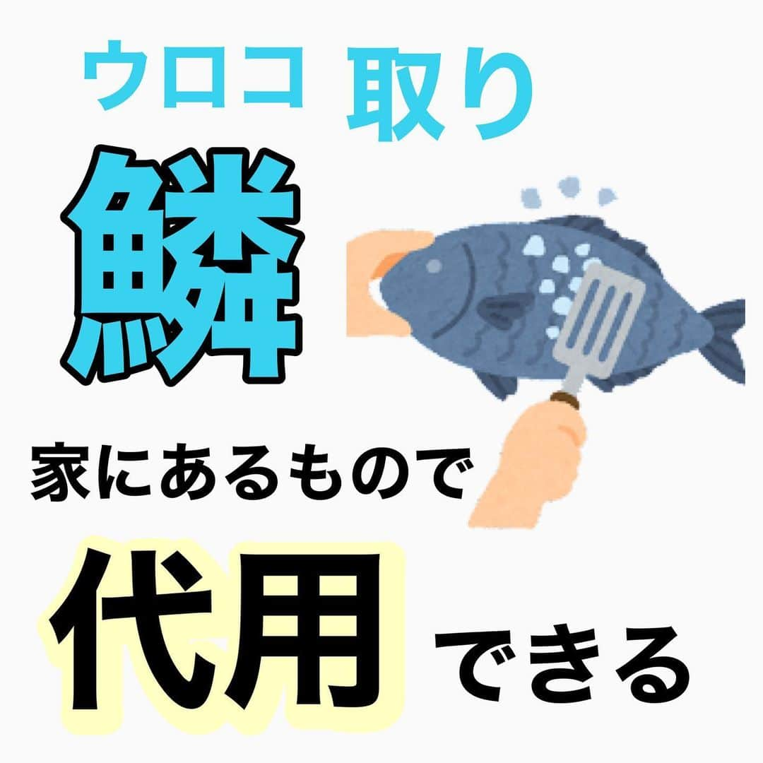 ペルビー貴子のインスタグラム：「@fishing__info  他の釣り情報もチェック👆  皆さんは魚捌くのは得意ですか？🐟 鱗をしっかりとることで魚の食感を損なわずに美味しく食べることができますよ🤗  ウロコ取り持ってなーい！ っていう方も全然大丈夫👌 家にあるものでなんとかなるんです😁　 是非チェックしてみてくださいね✅  ---------------------------------------- 釣り情報配信　@fishing__info  釣り、アウトドア、魚料理に関する豆知識、お得情報、便利な釣具を中心に投稿しています🎣 ----------------------------------------  #釣り #フィッシング　#fishing　#釣り好きな人と繋がりたい  #釣り好き　#釣り人 #アングラー #魚釣り　#豆知識　#料理豆知識 #キャンプ豆知識　#捌き方　#魚料理　#鱗取り　#美味しく食べよう #ペルビー釣り情報配信」