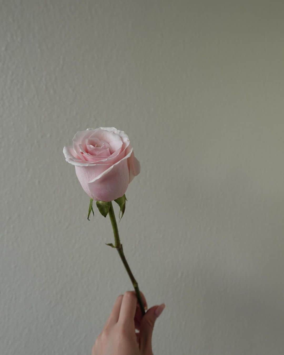 のインスタグラム：「最近は自分の生き方と とことん向き合う日々…☺️ 皆様セルフラブしてますか？♡  そんななかYOUTRUSTさんで 『熱募』始まりましたが みていただけましたでしょうか？✨  というわけで、わたしがプロジェクトを始める理由を少し、お話しさせてもらおうと思います…！  それは、人との繋がりの中で心から笑顔で居れる時間を増やしていきたい…と感じたからです☺️  大好きな言葉の一つで 『人は幸せだから笑顔になるのではなく 笑顔だから幸せになる。』 という言葉。  人はストレスを抱えると、ホルモンバランスの乱れに繋がり、女性ですと不妊、晩婚、少子高齢化などのさまざまな問題に繋がっていきます。  働き方が変わり、男女のバランスが見直される中、とても大切だなと感じているのが、今まで当たり前になっているものとの向き合い方です。  ひとりひとりが ・ビジョンを明確にし ・制約を手放し ・自分に時間を与え ・大切なものを入れるスペースを空けておく  ということが必要だなと感じていて、たまにではなく、毎日見直すことで、自分の感性が研ぎ澄まされ、日常が豊かなものに変わっていくことを体感しました。  自分のすきなモノやコトを 大切にできると幸福度が更に高まる♡  幸福度が高まることで、 知能・創造性・エネルギーも向上し、 仕事や勉強を成功に導いてくれます。  そうやって、変化を楽しみながら いいものを取り入れやすくする為に、 心と肌の土台を整えていくプロダクト作りをしていきたいなと考えております☺️  完璧でなくてもいい。 そんな自分を受け入れてあげる事が 自分を最大限に生かすことへの第一歩になっていくと、経験を通して日々実感しています。  また新たなスタートラインにたち 毎日が新人で、チームのみんなに助けてもらいながらも、ひとつひとつ丁寧に作り上げていけること、好きに没頭することの喜びを感じています。  とても素晴らしいアイテムたちが続々と出来上がっていってるので…そんな私と一緒にに走ってくださる方、ぜひぜひ応募お待ちしております♡  ちなみに、3/20-26の期間で京王井の頭線渋谷駅ホーム上に大型ポスターが掲載されています！ ※駅及び駅係員へのお問い合わせはご遠慮ください。  もし見かけたら、教えてください♡  #selflove #熱募　#youtrust  #復業」
