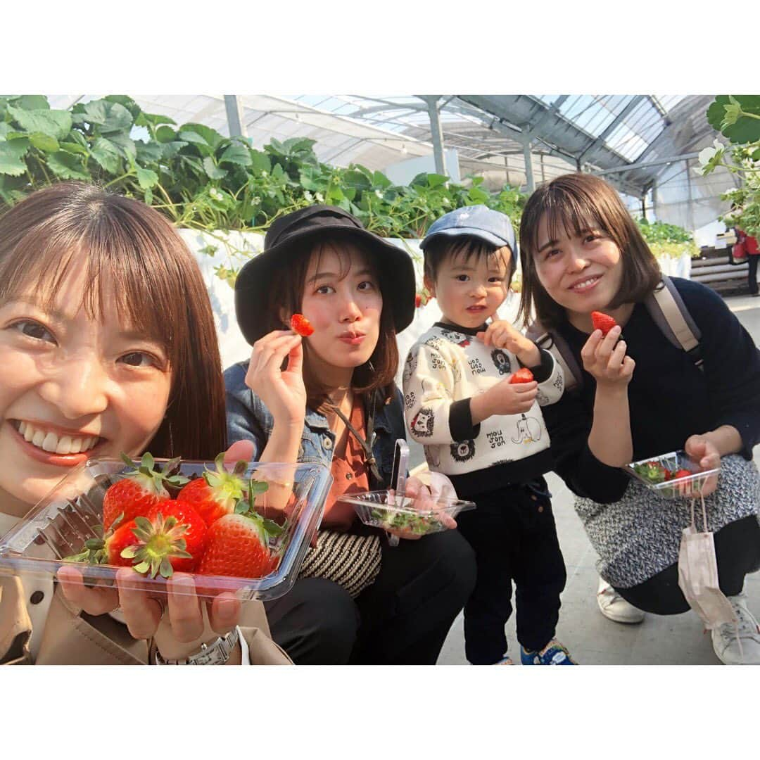 永井友梨さんのインスタグラム写真 - (永井友梨Instagram)「先日いちご狩りへ🍓 みんなでたくさん食べて 幸せな休日でした...🥰 いちごの季節まだまだ楽しみたいちご🍓🍓🍓  #いちご狩り  #いちご #イチゴ #苺 #レイクサイドレッドファーム #ナガイチゴ」3月21日 20時35分 - nagai_y_r