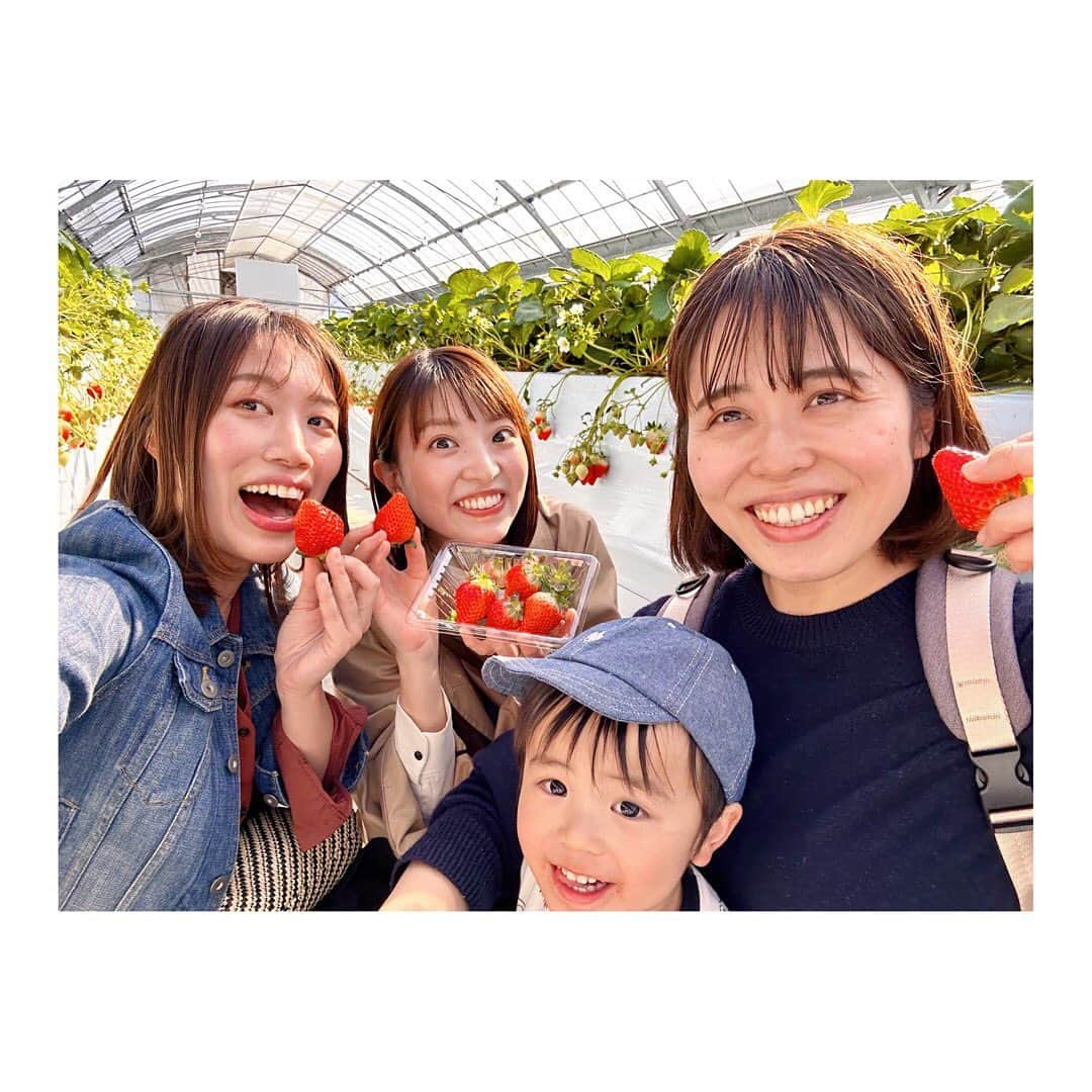 永井友梨さんのインスタグラム写真 - (永井友梨Instagram)「先日いちご狩りへ🍓 みんなでたくさん食べて 幸せな休日でした...🥰 いちごの季節まだまだ楽しみたいちご🍓🍓🍓  #いちご狩り  #いちご #イチゴ #苺 #レイクサイドレッドファーム #ナガイチゴ」3月21日 20時35分 - nagai_y_r