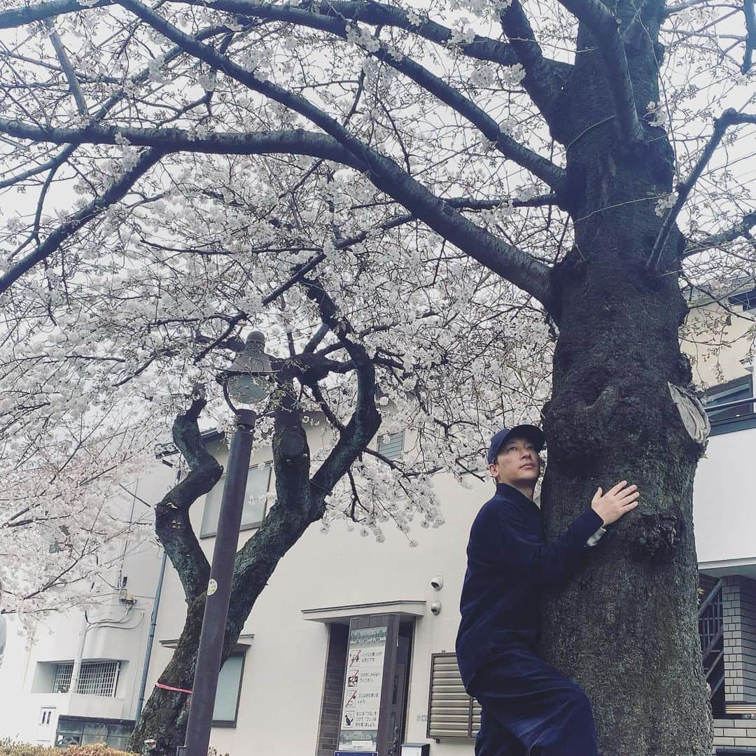 岡崎広平さんのインスタグラム写真 - (岡崎広平Instagram)「🌸🌸🌸  外は春でした。  #桜　#蝉男」3月21日 20時52分 - kohei.okazaki