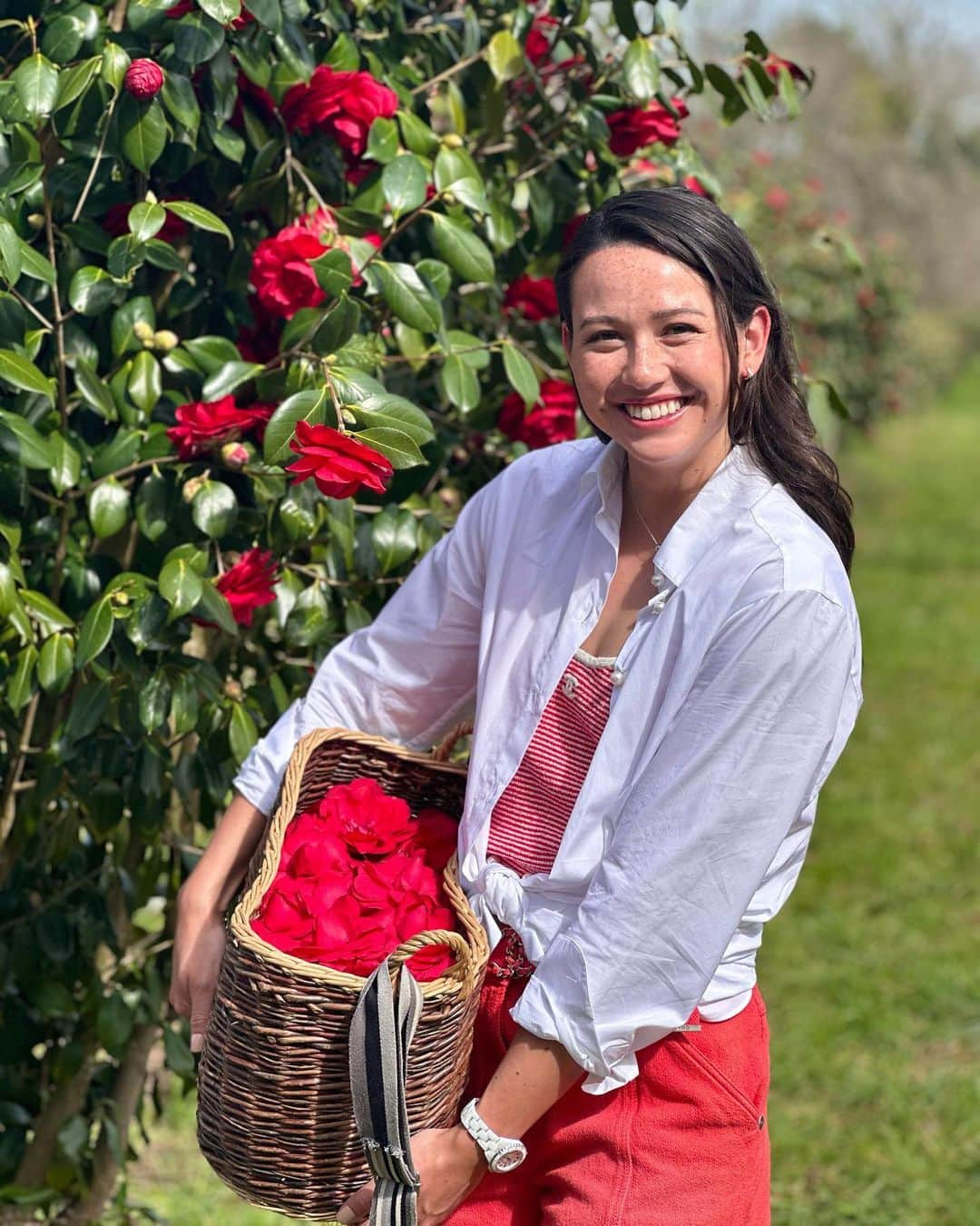 シボーン・バーナデット・ホーヒーのインスタグラム：「Farm girl for the day 👩🏻‍🌾🧺  Last week I had the pleasure of visiting Chanel’s open sky lab and garden in Gaujacq. The camellias grown here are used in their skincare products. The red camellias 🌺 I was holding could very much be in the next #n1dechanel product you use!  I could tell everyone who works there, from the plant producers to the scientists, is so passionate about dedicating their love, care, and expertise to making sure the flowers blossom year after year. They also ensure to safeguard an ecosystem that is not only home to the beautiful camellias, but also to the surrounding plants and wildlife 🌳🌿🐝🐞🦋  As this is the birthplace of Chanel skincare, I could really feel Chanel’s effort in encouraging plant conversation, and their respect for the environment, to guarantee the same quality of camellias today and tomorrow 💫  Merci beaucoup @chanel.beauty for allowing me to witness and learn about this botanical wonder ✨  #chanelskincare  #chanelcamelliaexpert」