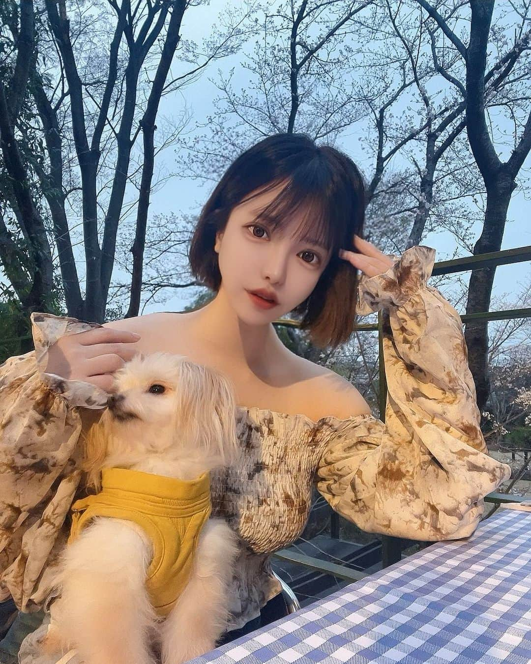 めあり(みい)さんのインスタグラム写真 - (めあり(みい)Instagram)「わんこ達とお花見出来た🌸🐶 ・ ・ #お花見#お出かけ#花見#🌸#桜#イタリアン#テラスカフェ #カフェ巡り #わんこのいる生活 #わんことお出かけ #犬同伴ok #犬同伴可 #犬同伴#愛犬とお出かけ #マルプー#ポメマルプー#フォローみー#いぬすたぐらむ #いぬばか部 #自撮り#インフルエンサー」3月21日 21時18分 - bokuwamus