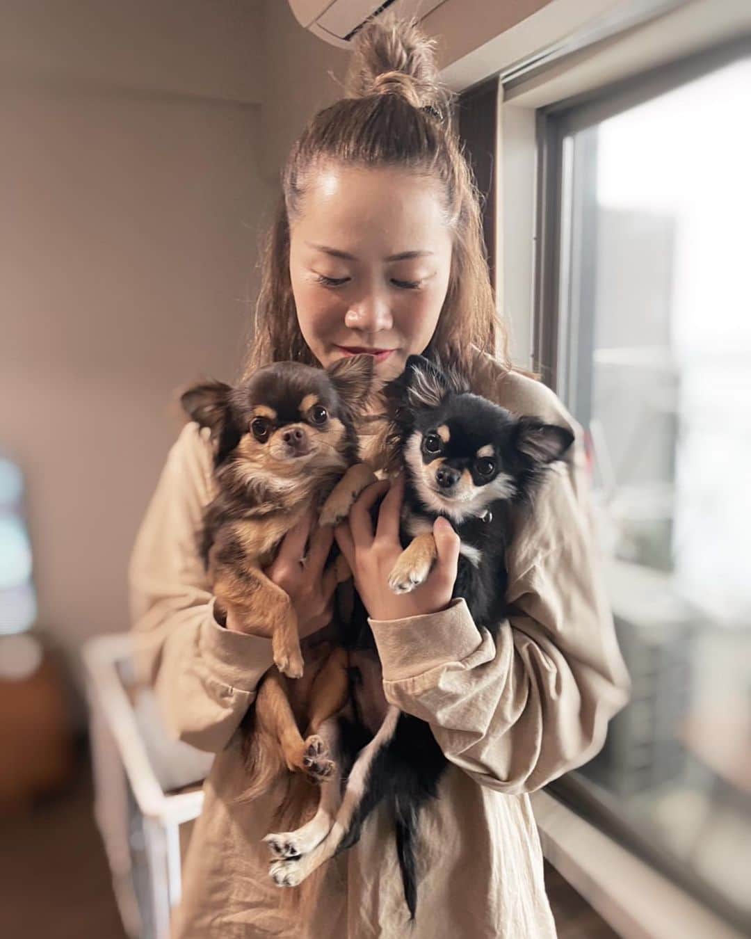 坂本朱里のインスタグラム：「❤️🐶🍜👭🏻🫧🧹 #チワワ#ロングコートチワワ#ブラックタン#チョコレート #chiwawa#longcoatchihuahua#chiwawalover#chiwawasofinstagram #chiwawalovers🐶❤️」