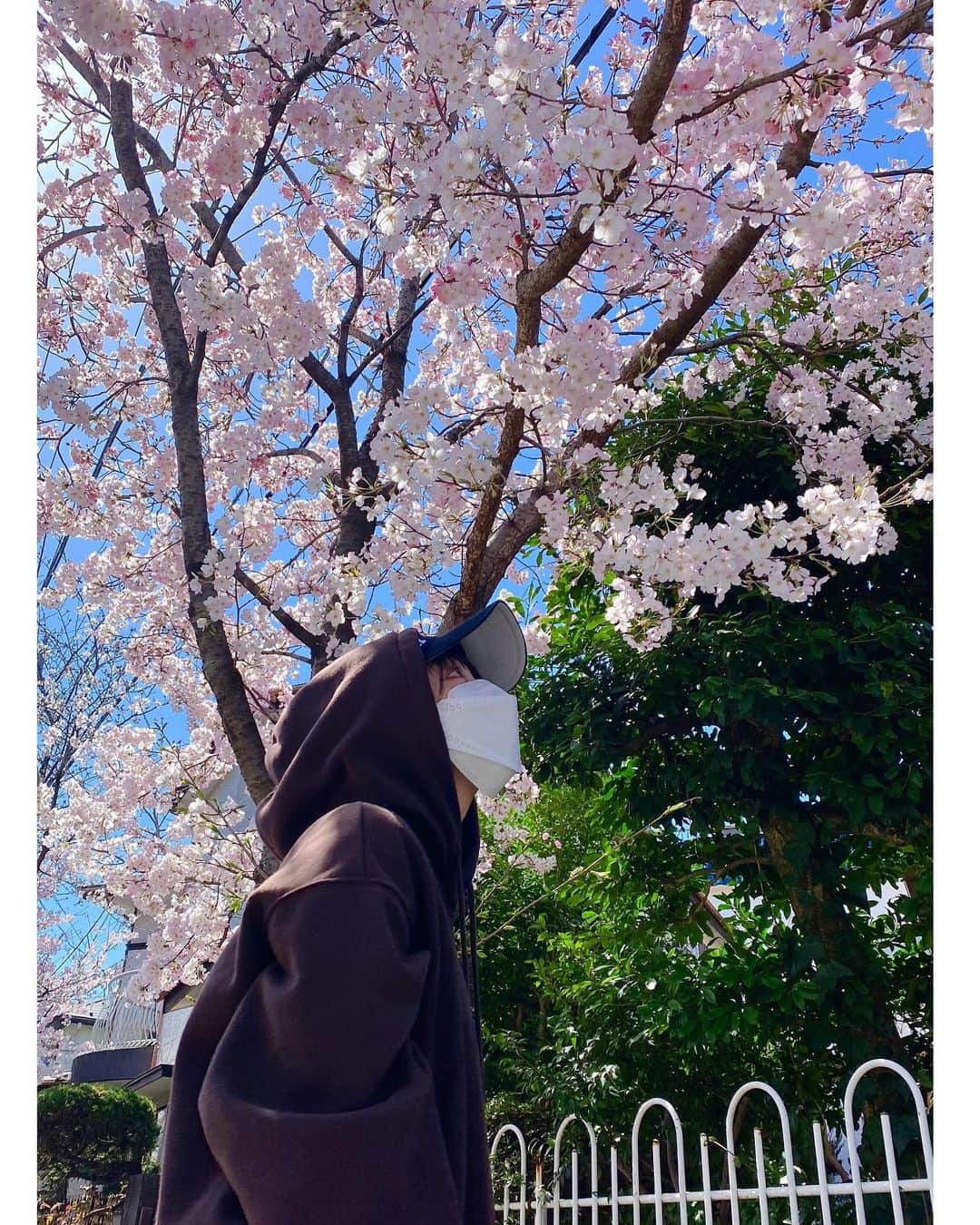 山谷花純のインスタグラム：「もう3月も終わりだね。 いつまで咲き続けてくれるかな。」