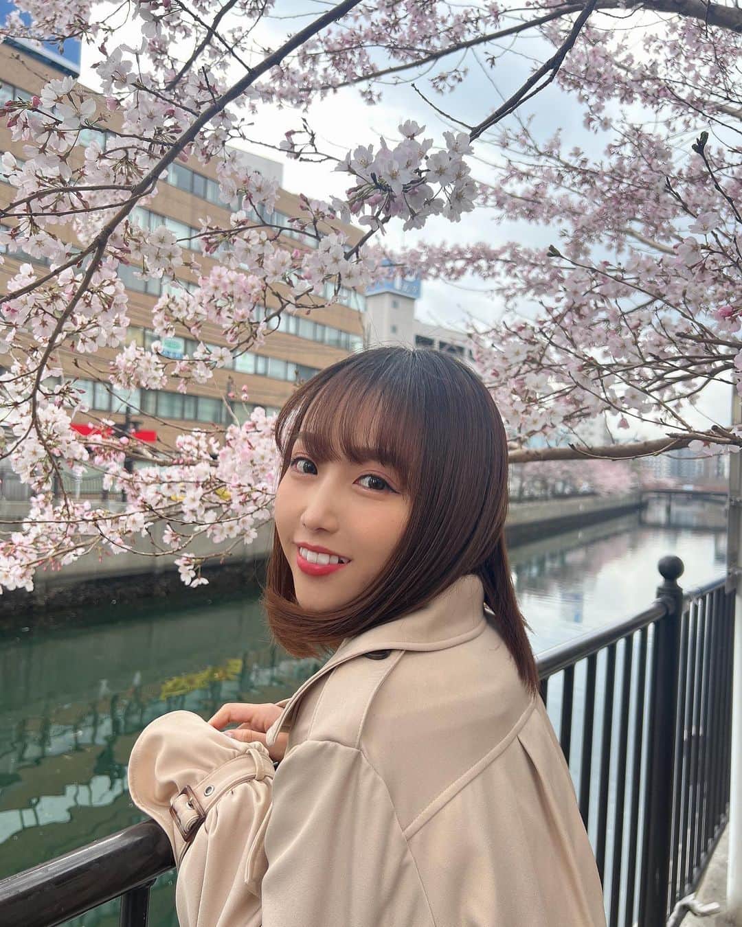 丸りおなさんのインスタグラム写真 - (丸りおなInstagram)「.  大岡川沿いの桜🌸  まだ所々ではあったけど、とても綺麗だったよ！！ もうすぐで満開になりそうだね😍  ライトアップされた夜の大岡川の桜もとっても綺麗なのでぜひ行ってみてください🌸🤍  ライトアップや屋台は2023年3月24日〜だよ♩  桜祭りとかも行きたいな〜！！  #桜　#花見　#花見スポット　#横浜　#桜スポット #大岡川　#桜祭り　#横浜観光　#横浜　#日出町　#横浜グルメ #屋台　#屋台グルメ　#お祭り　#祭り好きな人と繋がりたい #満開　#満開の桜 #春　#春服　#春服コーデ　#低身長　#低身長コーデ #154cmコーデ #sakura #🌸　#spring」3月21日 22時02分 - _riona81
