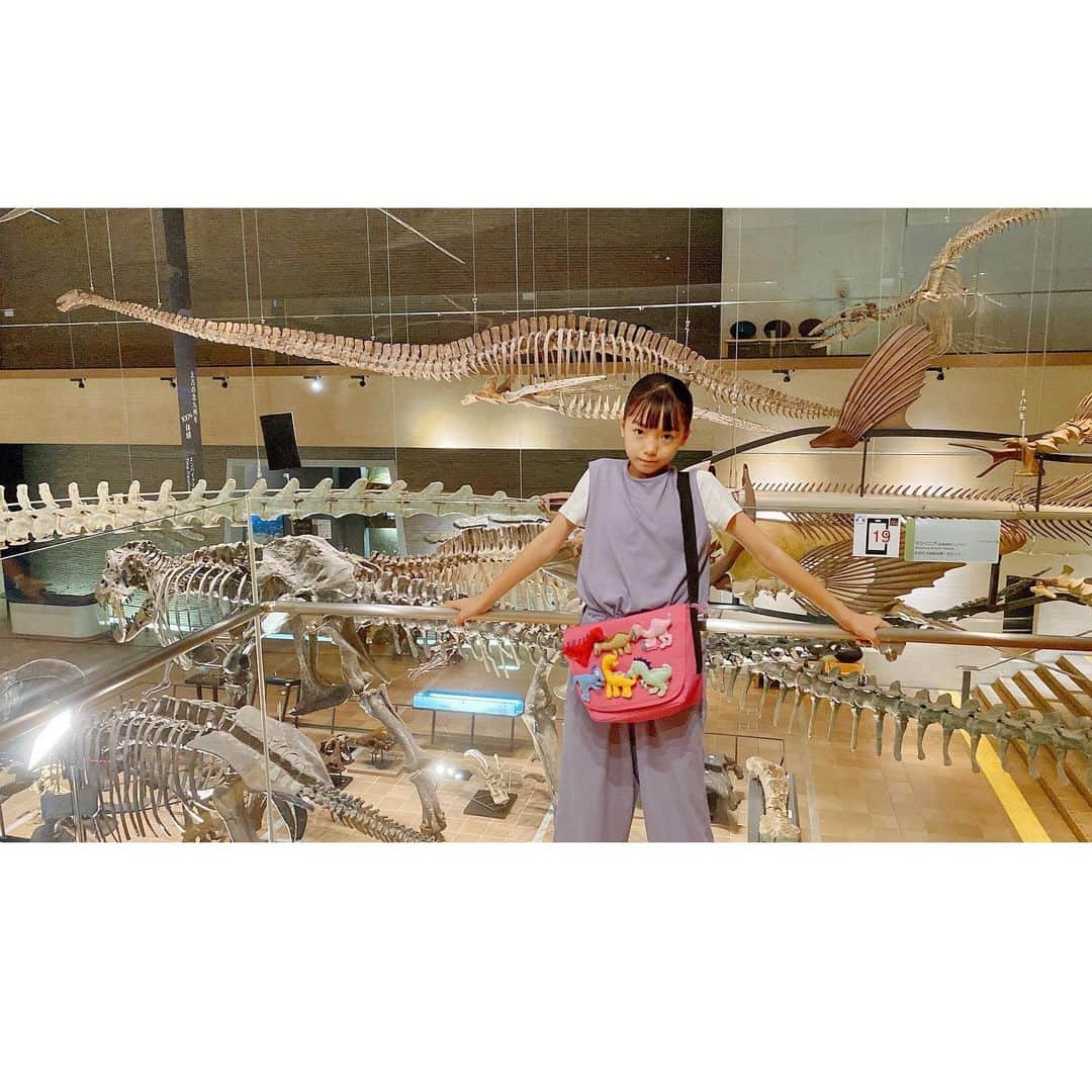 稲垣来泉さんのインスタグラム写真 - (稲垣来泉Instagram)「. #NHKスペシャル  #恐竜超世界2 前編、 巨大恐竜の王国 #ゴンドワナ大陸 を ご視聴いただきありがとうございました。 . 恐竜が大好きなお友達からも連絡が来て 大感動、大興奮していてとても嬉しかったです。 . とっても壮大で ロマンが詰まっていて、 愛情深い恐竜さん ずっと昔、日本にもいた恐竜 なぜ絶滅したのか…。 後編に続きます。 . 後編 ３月２６日（日） 午後９時～９時４９分 . . 劇中での大林先生の言葉 #知りたい気持ちにブレーキは必要ありません #恐竜も子どもも可能性の塊 が好きな言葉です。 . . . #NHKオンデマンド #NHKプラス にて見逃し配信 . 前編を見れなかった方も 後編からでも見ていただきたいです。 . TVでこれほどの壮大な恐竜世界の冒険を見れること感動します。 . . . #田中直樹 さん #優香 さん #原沙知絵 さん 語り#上白石萌音 さん #稲垣来泉 . 私の#推し恐竜 は #ディノケイルス と#アンキロサウルス  皆さんの推し恐竜も知りたいです！」3月21日 22時12分 - kurumi_inagaki