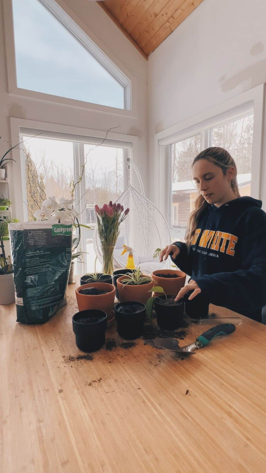 Kalyn Nicholsonのインスタグラム：「I couldn’t settle on one plant quote to coincide with this propagating project, so here are a few good ones:  “Plants do not speak, but their silence is alive with change.” — May Sarton  “Every leaf that grows will tell you: what you sow will bear fruit, so if you have any sense my friend, don’t plant anything but Love.” — Rumi  “If you wish to make anything grow, you must understand it, and understand it in a very real sense.” — Russell Page   “Everything that slows us down and forces patience, everything that sets us back into the slow circles of nature, is a help. Gardening is an instrument of grace.” — May Sarton  “If you look the right way, you can see that the whole world is a garden.” — Frances Hodgson Burnett  🪴🪴🪴」