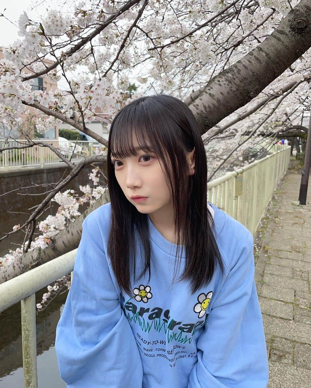 春海りおさんのインスタグラム写真 - (春海りおInstagram)「桜きれいだった🌸🍃」3月21日 22時28分 - rio_harumi