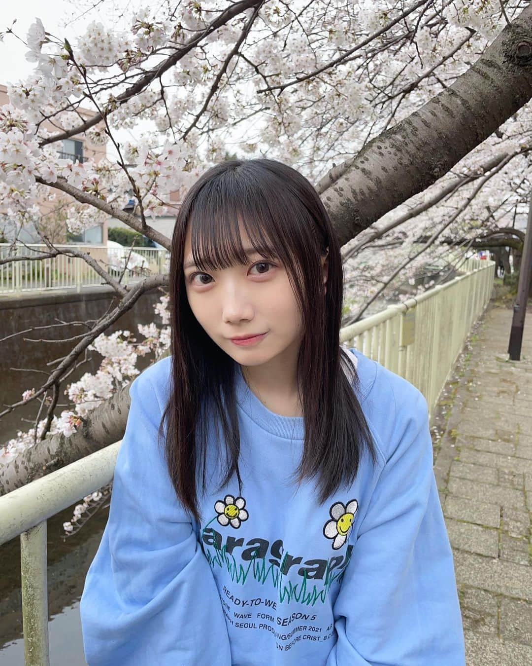 春海りおさんのインスタグラム写真 - (春海りおInstagram)「桜きれいだった🌸🍃」3月21日 22時28分 - rio_harumi