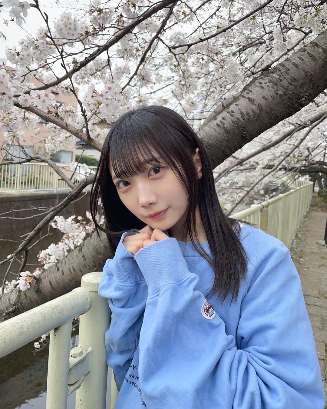 のインスタグラム：「桜きれいだった🌸🍃」