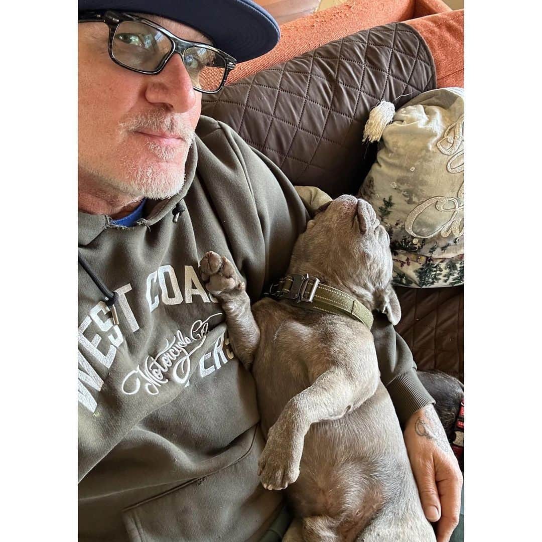 ウエストコーストチョッパーズのインスタグラム：「Hmmmmmm??? I guess nobody told Jasper…  BREAKING NEWS: The French Bulldog is the No. 1 most popular dog breed in the U.S.  #jessejames」