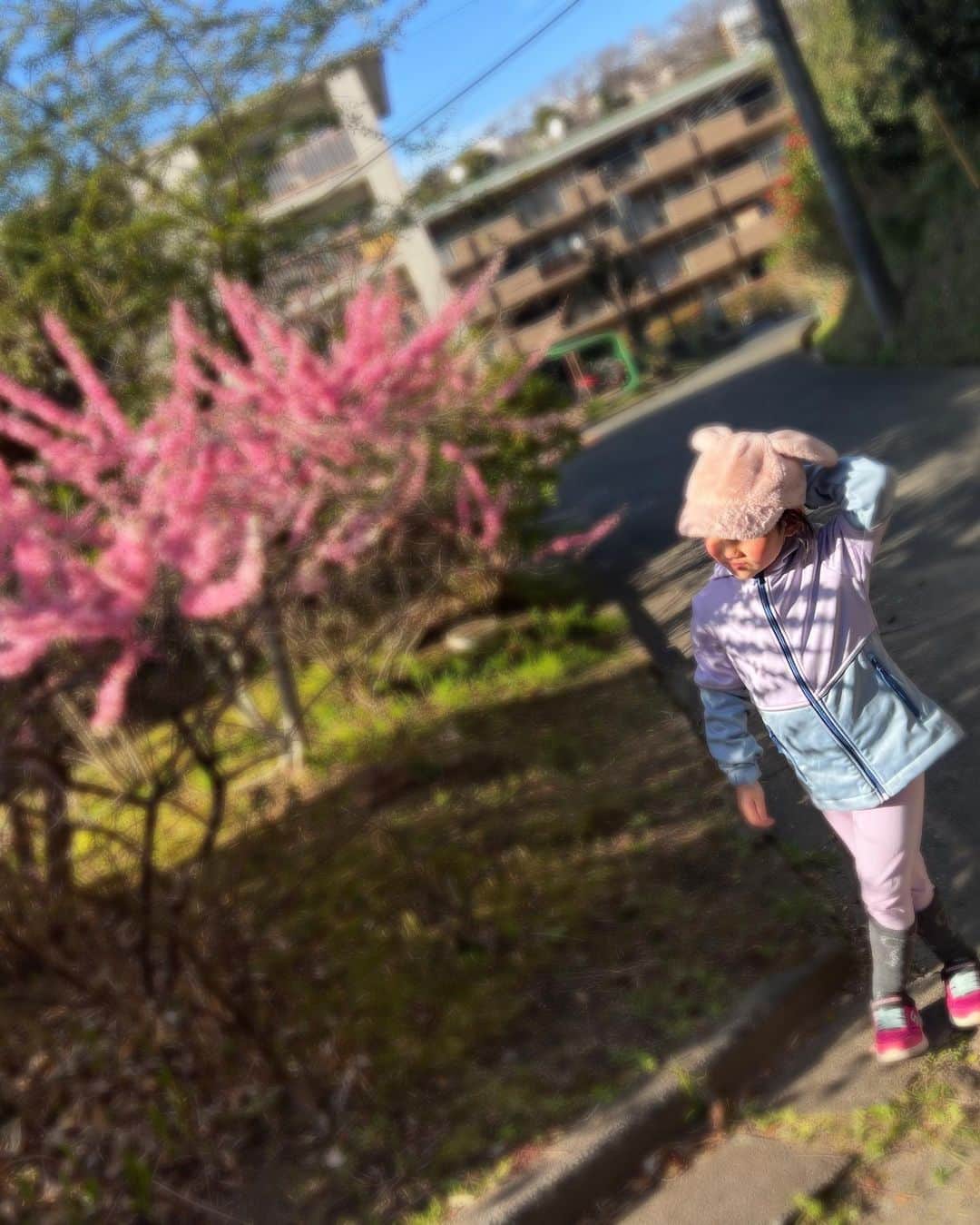 有坂美香さんのインスタグラム写真 - (有坂美香Instagram)「【🌸春分の日🌸Equinox Day 🌞🌝】 3.2.1 . Go❣️ ということで気持ちも新たに♫  お正月から3ヶ月、個人的に新年の誓いで掲げたちいさな目標達がちゃんと続けられてて、完全に習慣化されたことが嬉しい毎日です😃  そして今日から新しく、横浜は元町でもレッスンを始めました♫♫♫   今日は一年の中でも新しい事を始めるには最高の日、と聞いたので、無条件に心が躍りました♫  でも同時に様々な場面で自分のミスが浮き彫りになり、沢山の方にご迷惑をかけた一日でした😭　これも、自分の行動、見直せーよ、という事でしかないと猛反省してます🙏そんな中でも、いやいや、こちらも確認すれば良かったよ、と各所寛大なご対応😭私も人の心をすっと楽にさせるような、そういう人間になりたいと本気で思いました。  ３月末は沢山の喜びが溢れかえっています。  うちの子も０歳から通った保育園を今週末に卒園🌸🌸🌸🌸🌸🌸  近所のお友達もお歌のお友達も進級おめでとう㊗️ 4月からはマスクも無しでたくさんの笑顔が見れて最高❣️  そして去年から担当している沢山の生徒さんがスクールを卒業👏👏👏👏👏👏 本当におめでとう😭❤️ みんなは絶対的に記憶に残る学年、これからが楽しみです♫  更に去年出会った才能の塊のアーティストさん達もこの春より本格始動♫♫♫♫♫ 今日も素晴らしいレッスンでした❣️こっからがスタートですね♫❤️ 皆さんを信じている♫  更に たっくさん勉強して誰よりも努力してたボイストレーナーの音もだちが高く高く羽ばたいていて感激😭👏👏👏👏👏　 自分の声に具体策がほしい人はぜひ check→ @miho_kosai   姉の息子もドイツから日本に留学してて、先日高校卒業→日本の大学(早稲田国際！)入学おめでとう㊗️  そして何より、、  家族がみんなそれなりに元気で 幸せで、ご先祖様に感謝です🙏🙏🙏🙏  暦の上では３月だけど なんか新年！って感じのエネルギーを 感じまくってます♫  皆さんと一緒に楽しい新年度を迎えられたら嬉しいです♫  ♪･:*:･･:*:･♪･:*:･･:*:･♪ @mikaarisaka Ms.World Universal  International 2022 in Sydney, Australia 💎Ms.World Universal Elite 2022 3rd Runnder Up  入選  特別賞W受賞 💎Ms.World Universal  People's Choice Winner 2022 💎Ms.World Universal Congeniality Winner 2022  💎Ms.World Universal Japan Ambossador 2022 日本代表💎Wellness Rose Rei(株)アンバサダー💎港区観光大使　 ♪:*:･･:*:･♪･:*:･･:*:･♪･:*:･･:*:･♪  #有坂美香　#有坂美香andthesunshowers #シンガー　#ボイトレ　#コミュニケーション術 #ローズクルセイダーズ #ミセスインターナショナル #ミズファビュラス #ミズワールドユニバーサル  #社会貢献  #mrsinternational #msfabulous #rosecrusaders #msworlduniversal #世界大会出場　#横浜元町商店街　#横浜　#横浜ボイトレ　#横浜ゴスペル #卒園　#卒業　#歌唱指導 #歌が上手くなる　#英語の歌」3月21日 22時34分 - mikaarisaka
