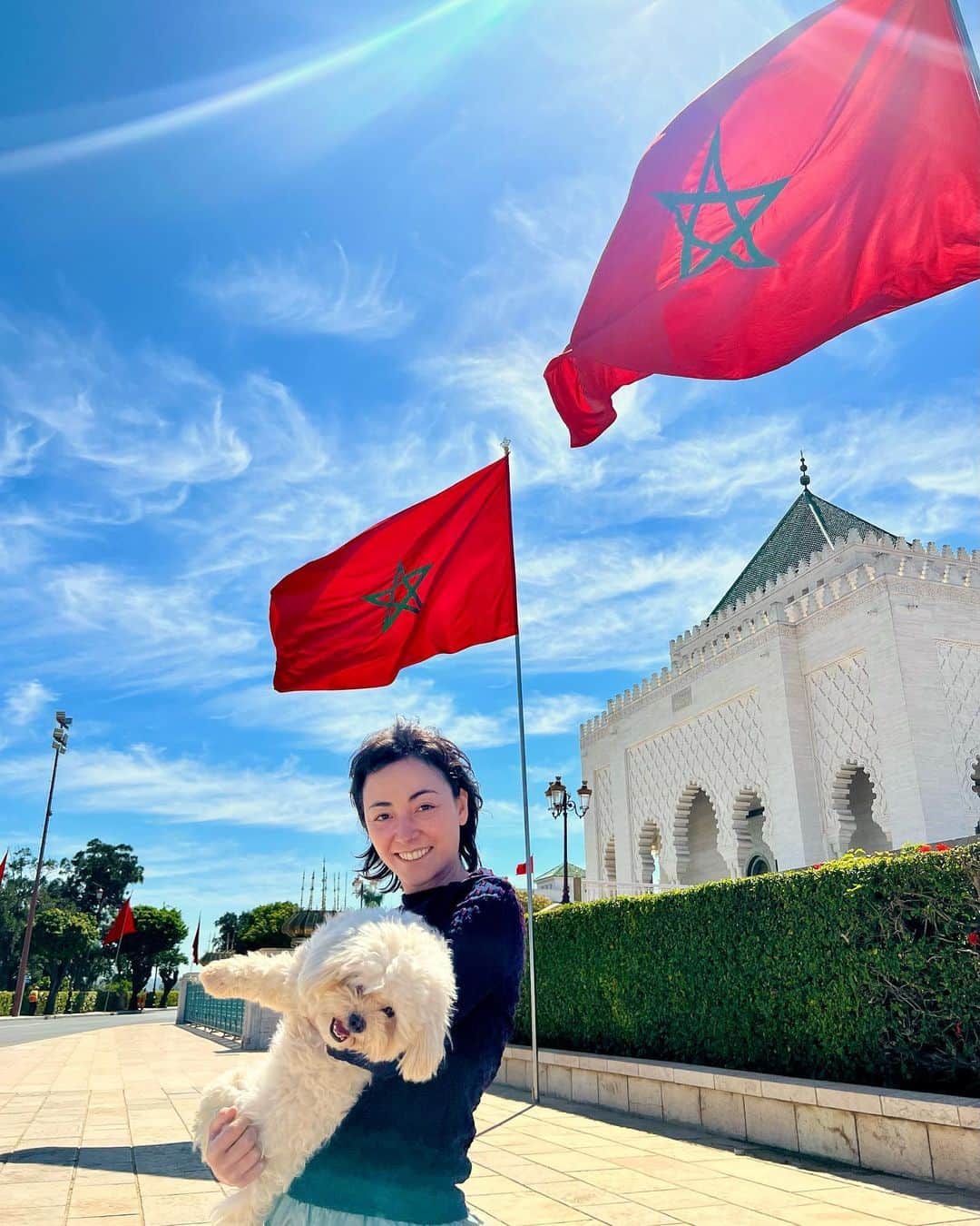 美波さんのインスタグラム写真 - (美波Instagram)「私の新しいモロッコの友達はかなり... شعر لطيف #モロッコ #ラバト #firstdate」3月21日 23時03分 - minamimanim