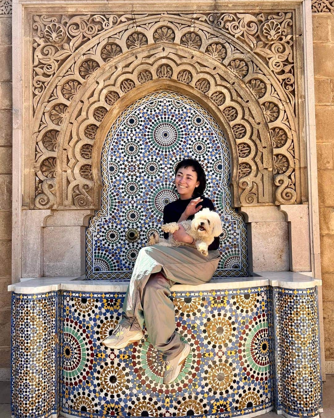 美波さんのインスタグラム写真 - (美波Instagram)「私の新しいモロッコの友達はかなり... شعر لطيف #モロッコ #ラバト #firstdate」3月21日 23時03分 - minamimanim