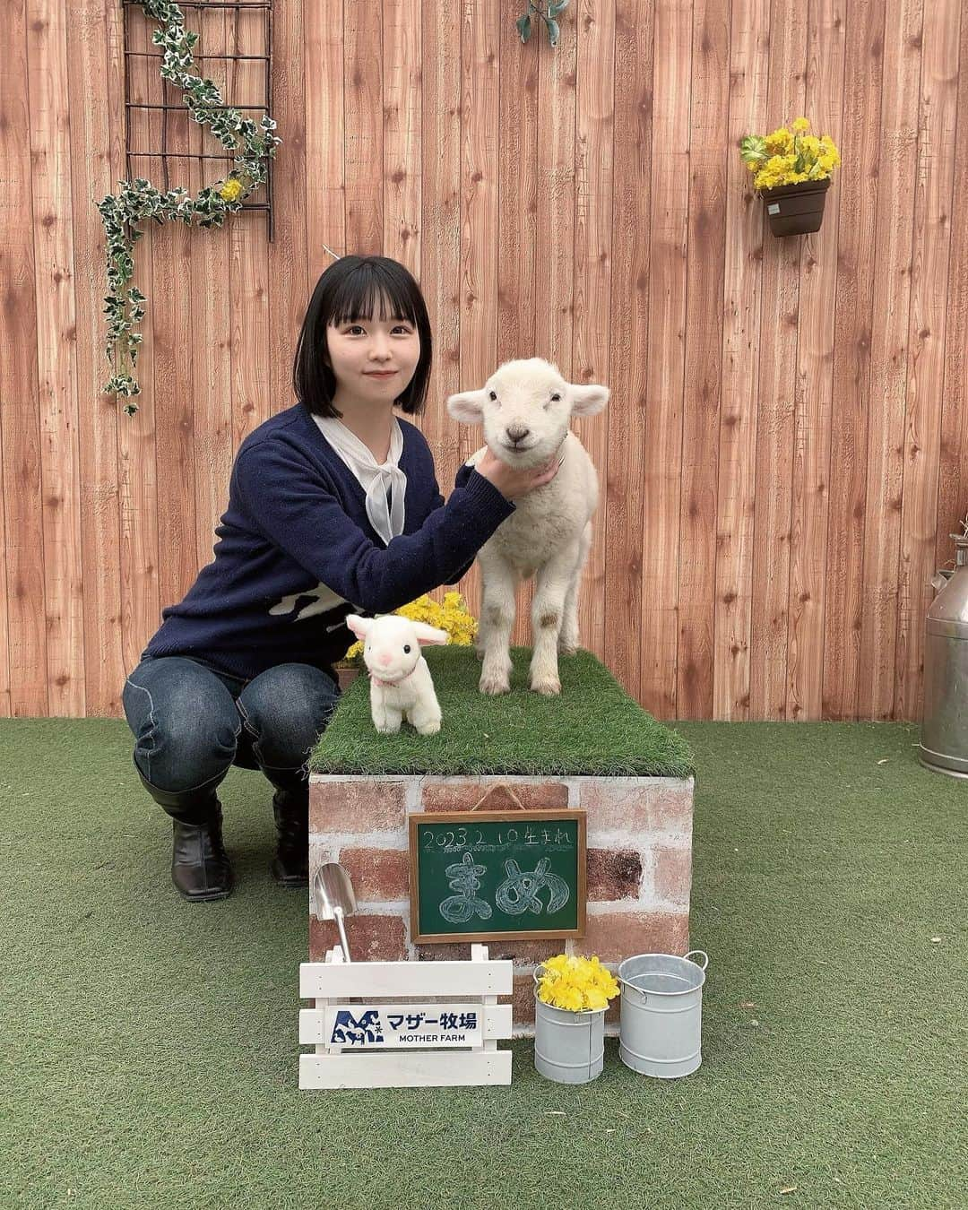 涼川菜月のインスタグラム：「🐏 ⁡ ⁡ ⁡ ⁡ 念願の子羊ちゃんと写真を撮る為 に行ってきたよ( T . T ) ⁡ 急遽行けることになって お兄に車で連れてってもらった.ᐟ.ᐟ ⁡ ⁡ 着いたら写真撮るための行列が… 30分間って書いてたから 間に合うかな？途中で締め切られないかな ってめっちゃ不安になったけど 無事撮ることができて良かった( T . T ) ⁡ ⁡ 2頭いてどっちと撮れるかはランダムで 私はまめちゃんと撮った.ᐟ.ᐟ ⁡ もう1頭はうーるちゃん🐏 ⁡ 2頭は双子なんだけどまめのほうが 少し小さかったよ ⁡ 飼育員さんに首とお尻を支えてください って言われたからこのポーズになったけど 首絞めてるように見えるよね( T . T ) じっとしててくれてありがとう 本当にいいこだね( T . T ) バージンウールは想像の200倍ふわふわで 本当に可愛かった♡ ⁡ ⁡ 限定のこひつじプチぱふぇは 土日祝限定で食べられなかったの〜😿 代わりにいちごミルクのパフェみたいなやつ 食べたよ〜〜美味しかったよ〜〜.ᐟ.ᐟ ⁡ ⁡ あー本当に最高の1日だった 牧場巡りできる友達欲しい お心当たりのある方は連絡ください ⁡ ⁡ P.S ただでさえ遠いのに帰り渋滞で 4時間以上運転してくれたお兄ほんま優しい 感謝まじ感謝( T . 🙏🏼T ) ⁡ ⁡ ⁡ ⁡ ⁡#マザー牧場 #牧場 #牧場好きな人と繋がりたい #動物園 #羊 #羊の赤ちゃん #赤ちゃん羊 #子羊 #sheep #lamb」