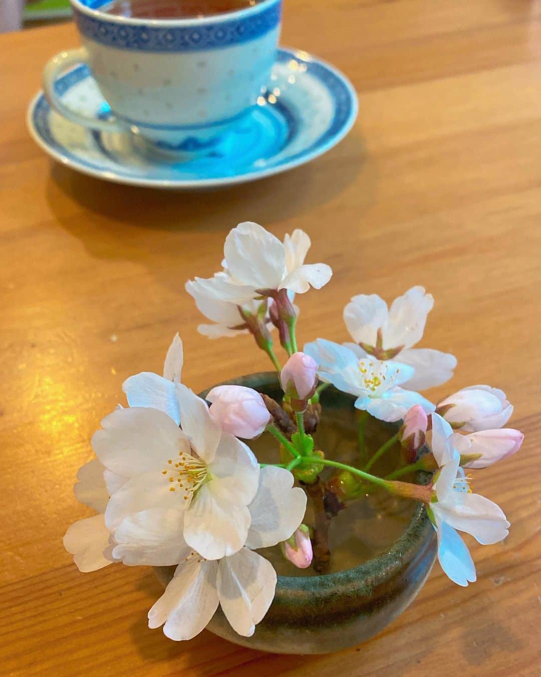 奥田恵梨華のインスタグラム：「落ちてた桜をテーブルに飾りました。」