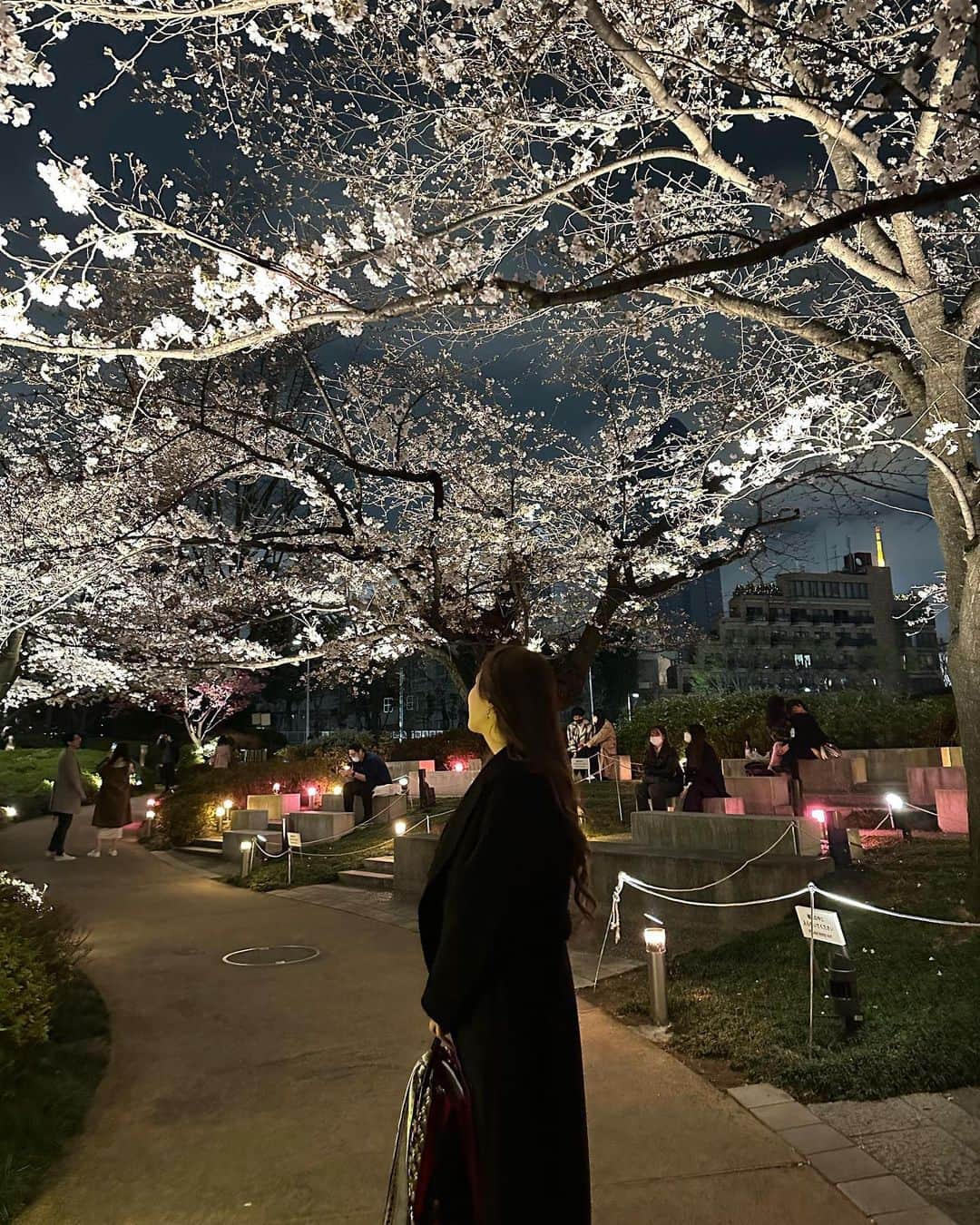 不二峰摩耶のインスタグラム：「ままの誕生日会の帰りにお花見🌸 今年初めて桜をちゃんと見てきた🥹🫶🏻  #六本木#ヒルズ#毛利庭園 #桜#お花見#夜桜」