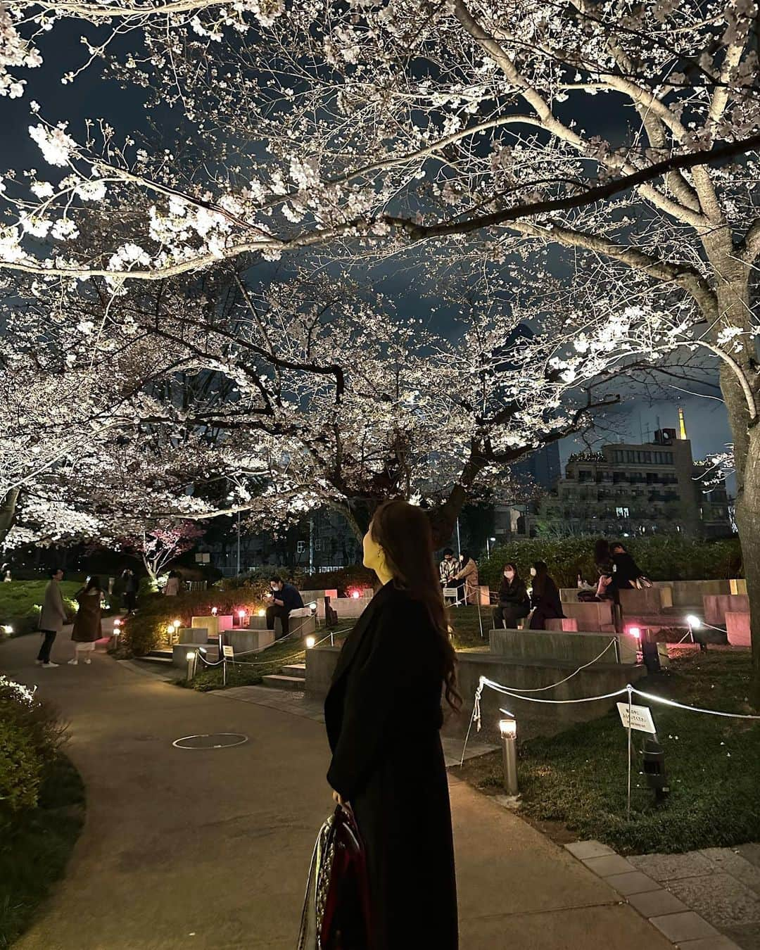 不二峰摩耶のインスタグラム：「ままの誕生日会の帰りにお花見🌸 今年初めて桜をちゃんと見てきた🥹🫶🏻  #六本木#ヒルズ#毛利庭園 #桜#お花見#夜桜」